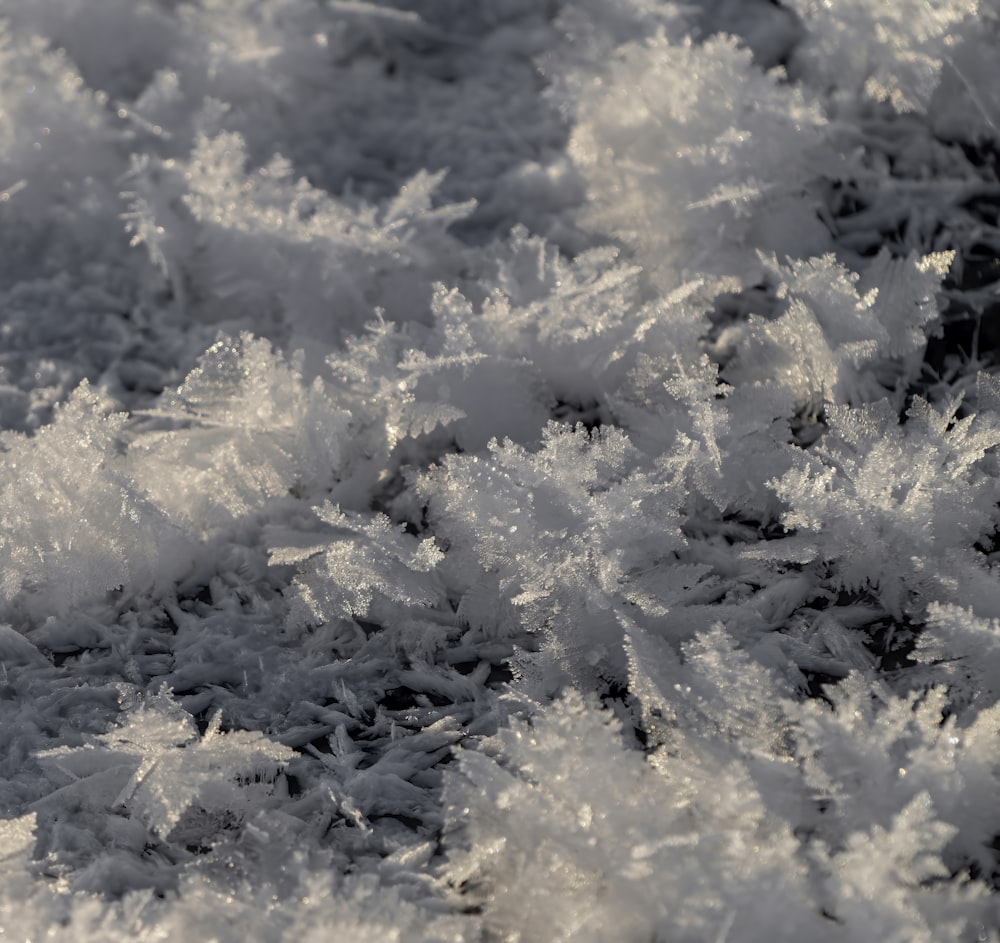 white snow on green grass field