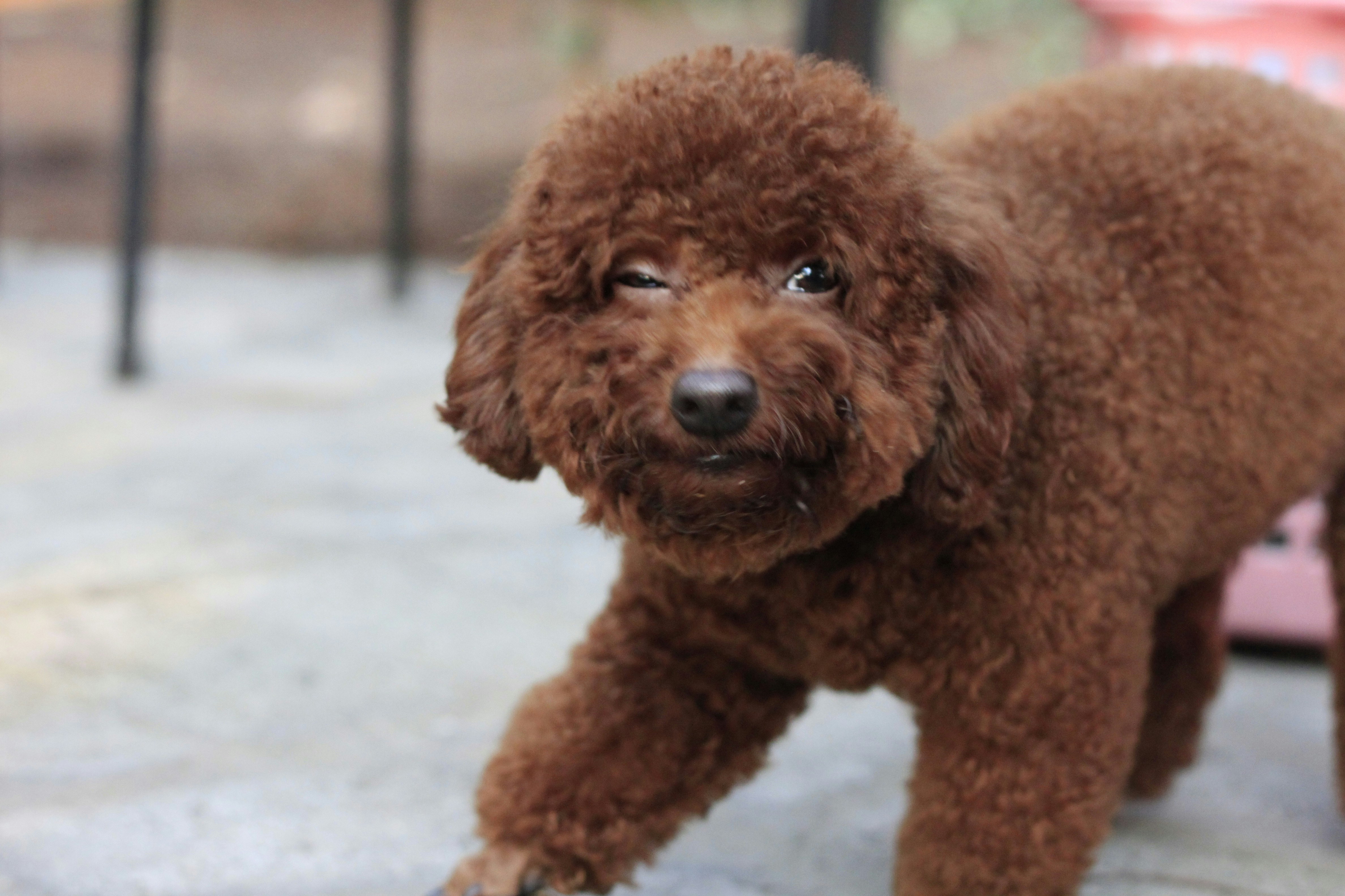 Photo by jtrinh_artwork