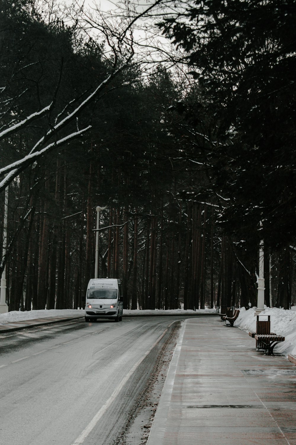 white van on road in between trees during daytime