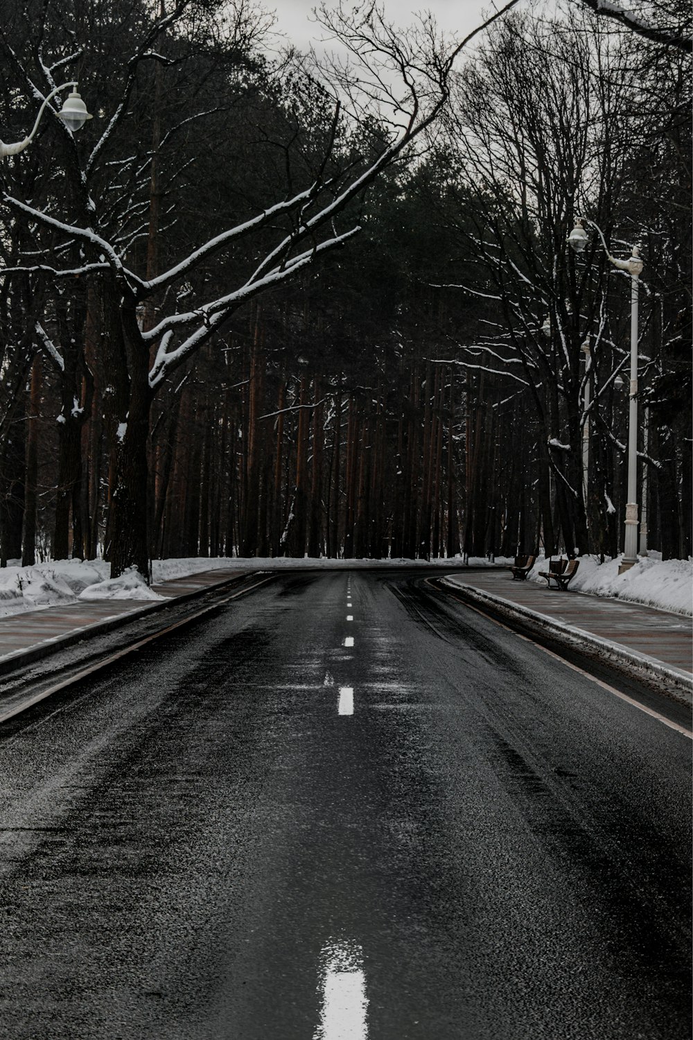 black asphalt road between trees during daytime