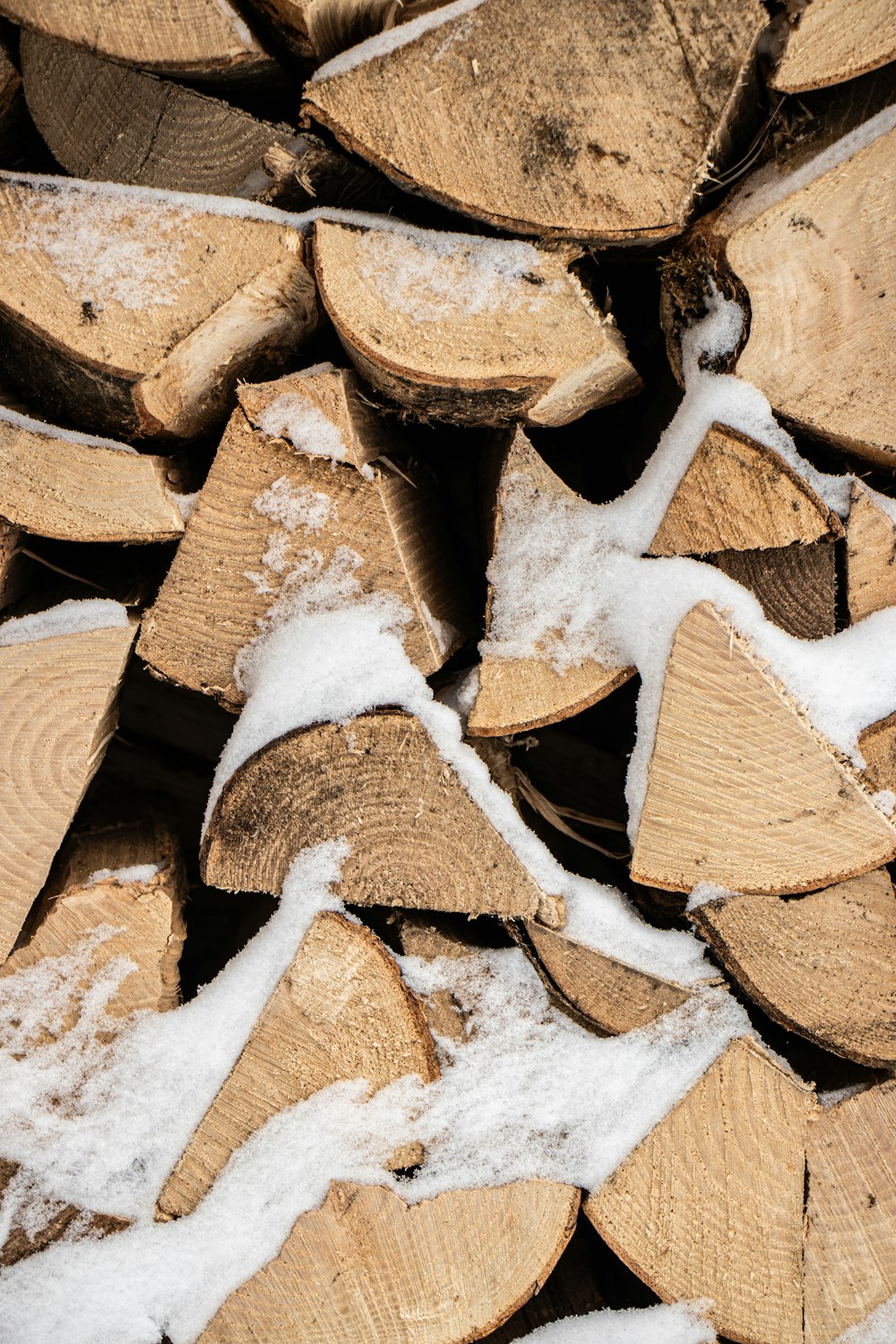 brown and white firewood lot