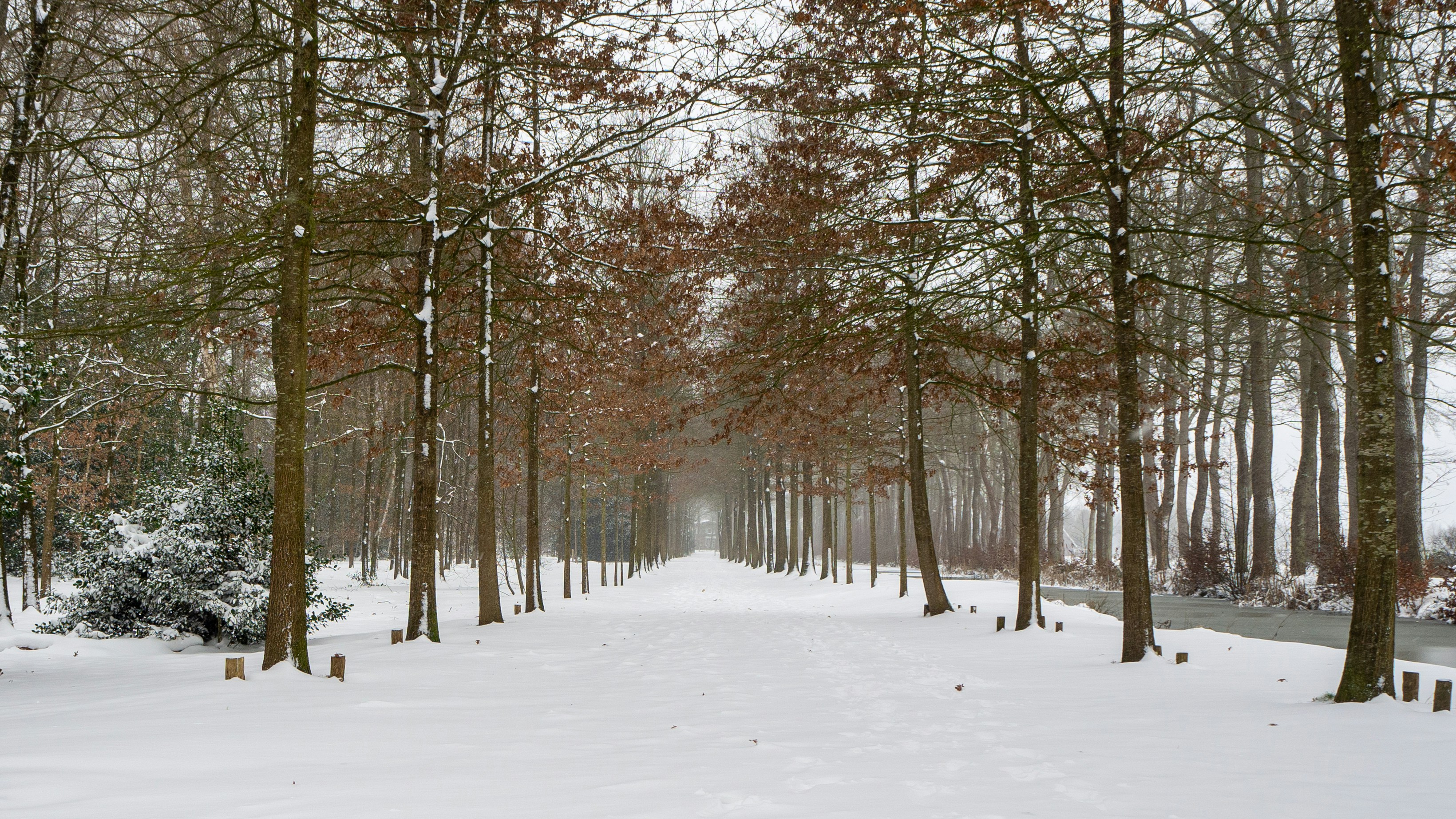 Photo by wimvanteinde