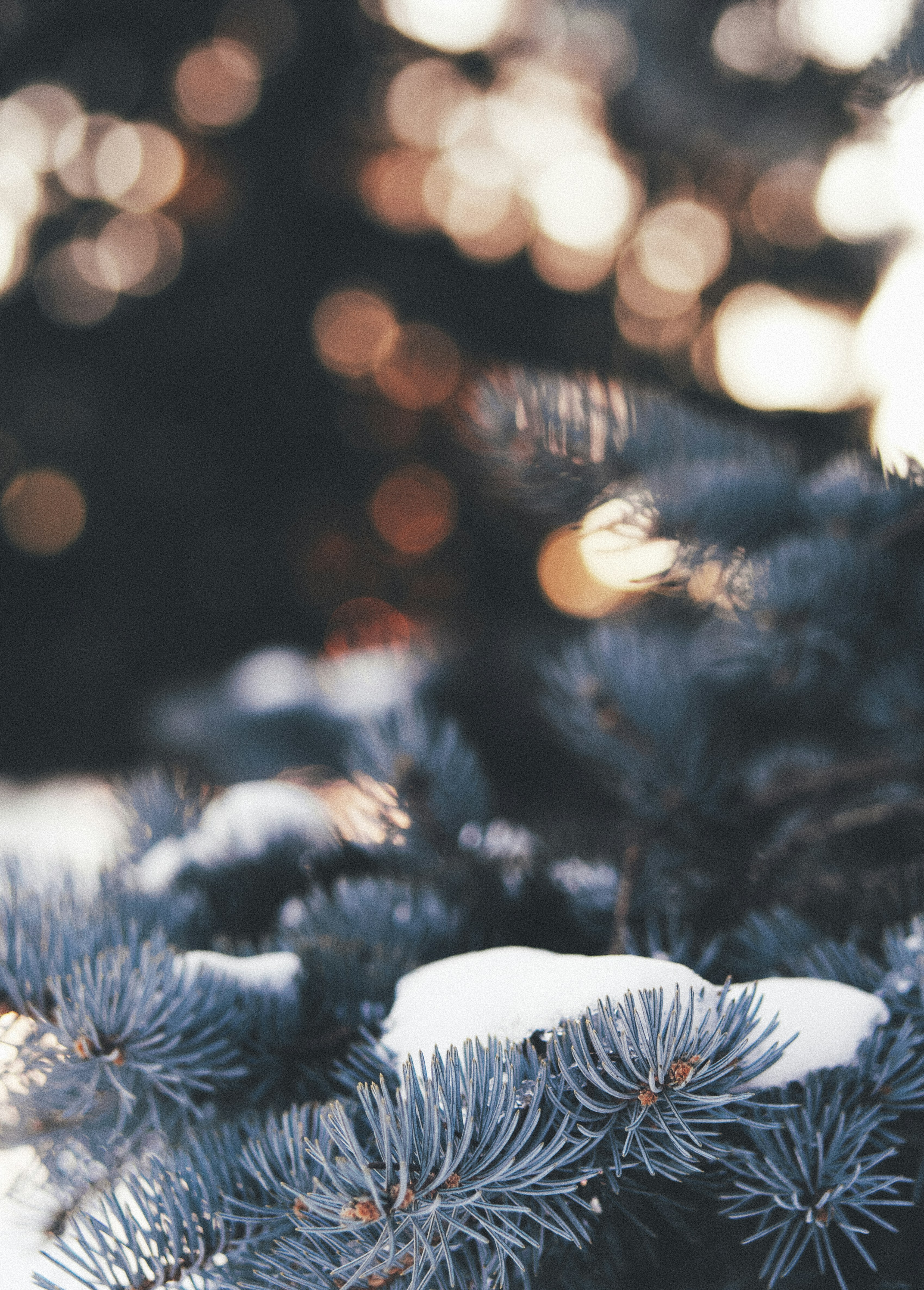 Photo by aaronburden