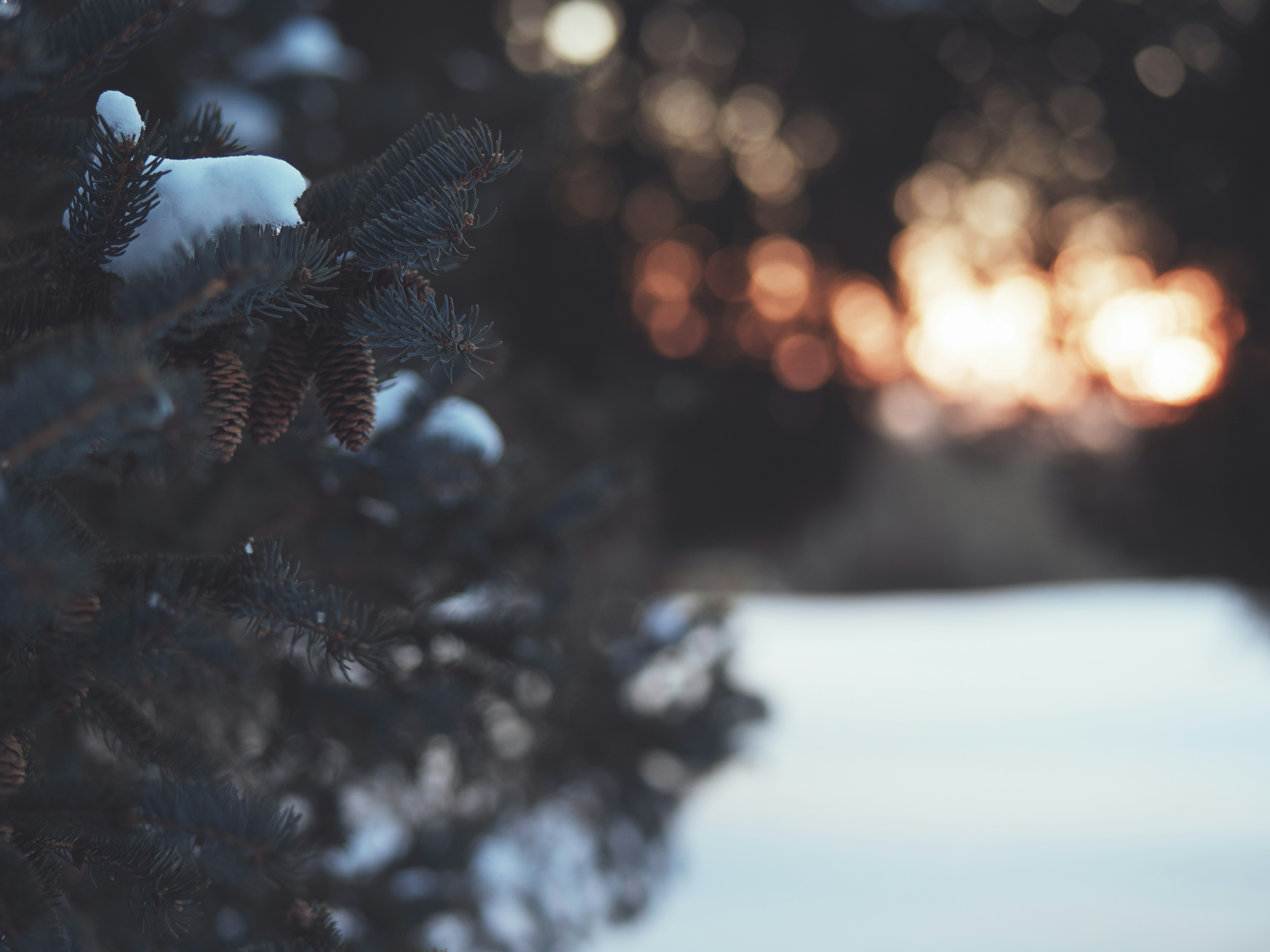 Photo by aaronburden