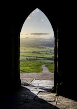 green grass field under white sky during daytime