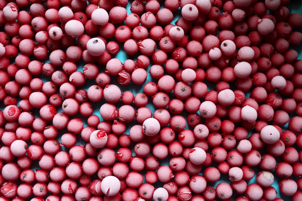 red and white round fruits
