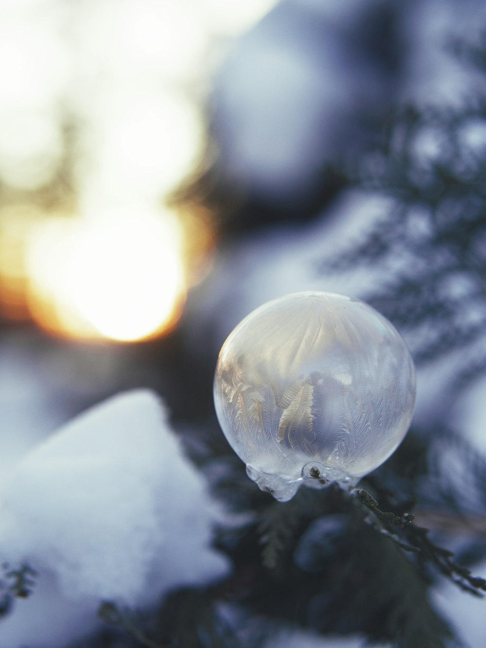 white and blue light bulb