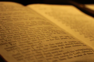 An open book with visible pages showing printed text in clear focus. The lighting casts a warm, sepia tone over the pages, creating a classic and nostalgic atmosphere.
