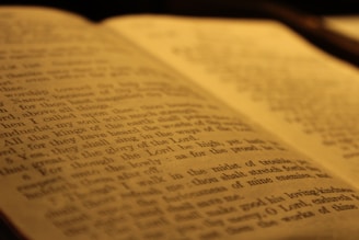 An open book with crisp, clean pages under warm lighting highlighting the quality of the print