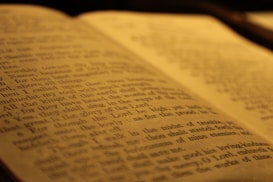 An open book with visible pages showing printed text in clear focus. The lighting casts a warm, sepia tone over the pages, creating a classic and nostalgic atmosphere.