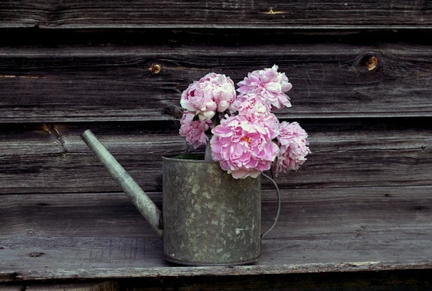 A vintage watering can resting beside blooming wildflowers on a sunlit farm porch.