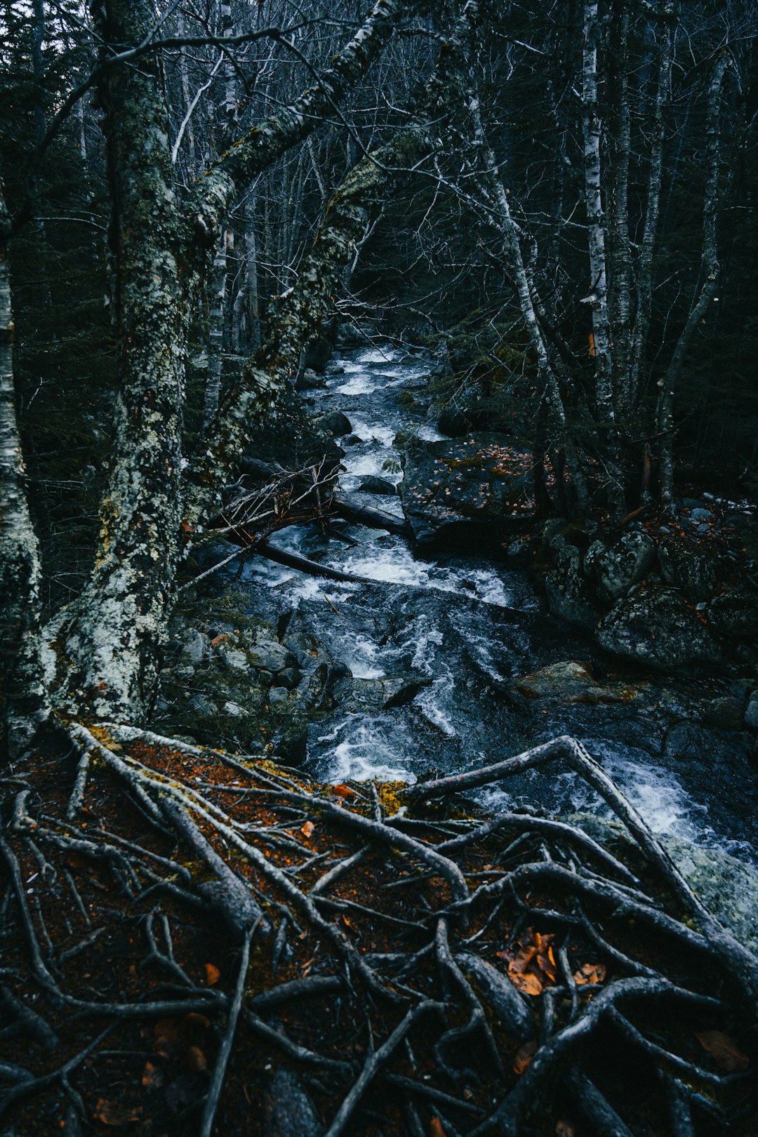 water flowing on rocks in the woods