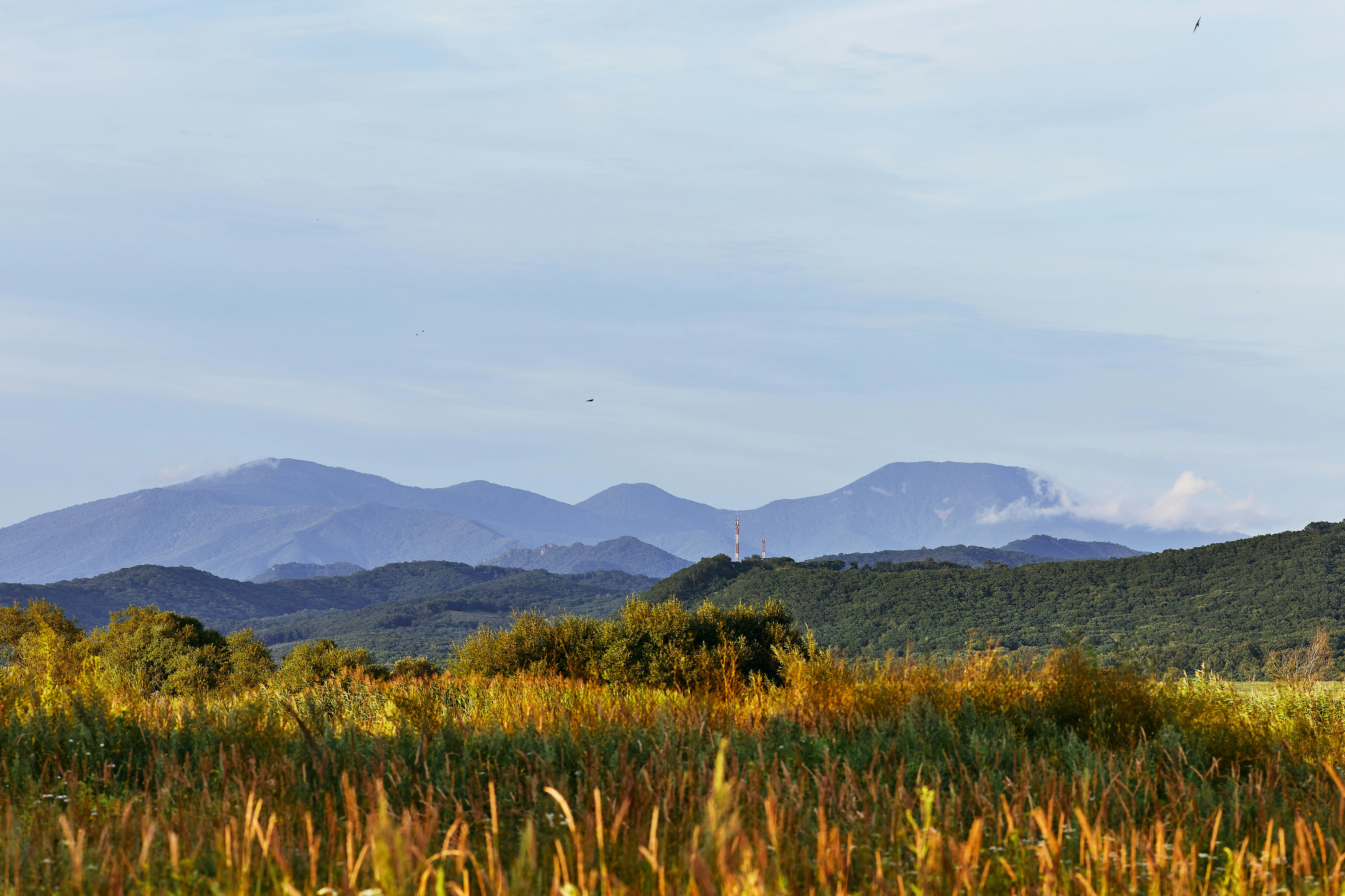 green grass field near mountain during daytime