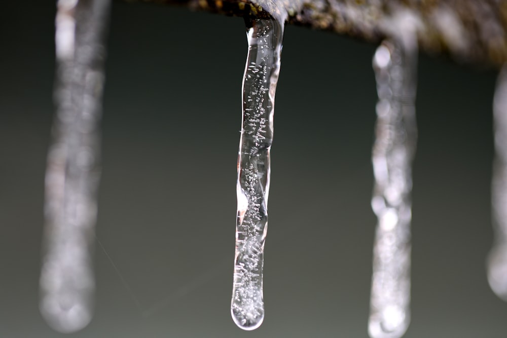 water droplets on brown wooden stick