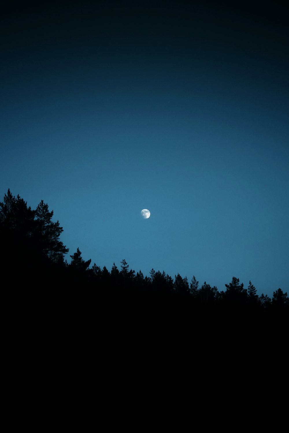 Luna llena sobre árboles verdes