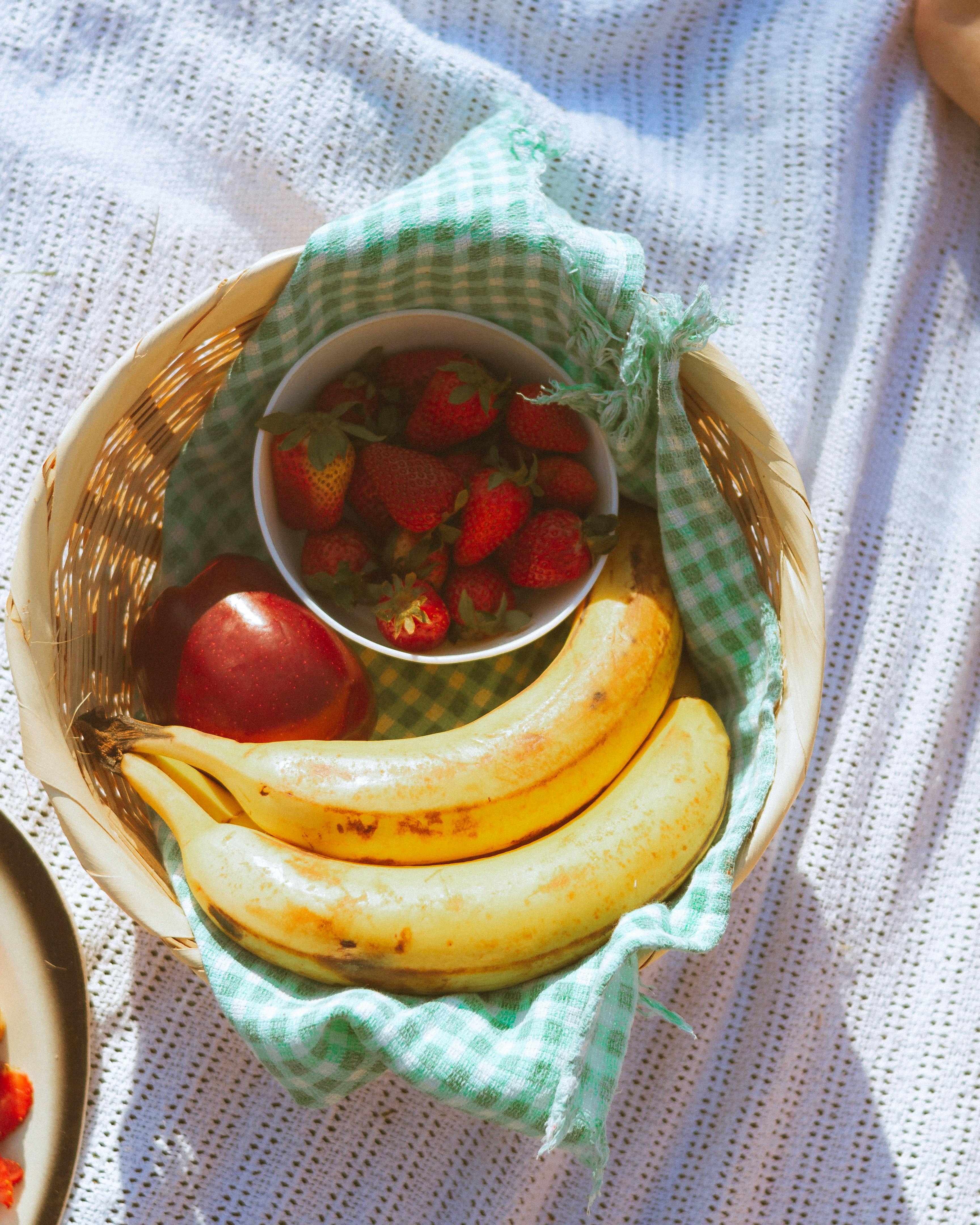 Neuroplasticity After 40: What Research Actually Shows