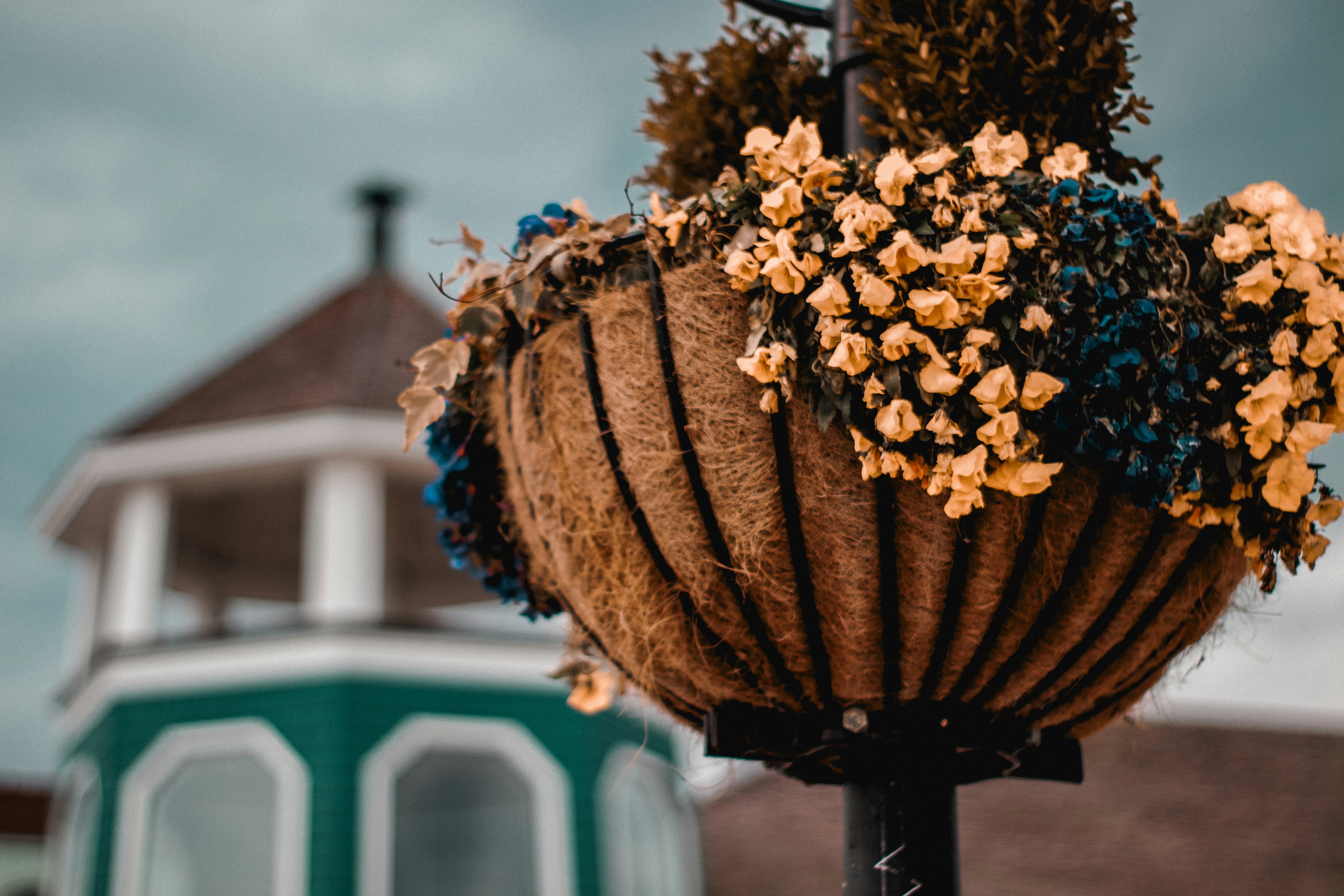 brown round fruit on black metal stand, 