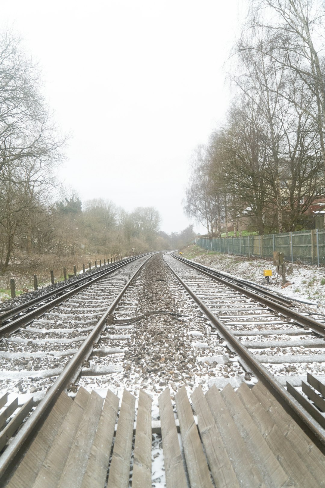 train rail near trees during daytime