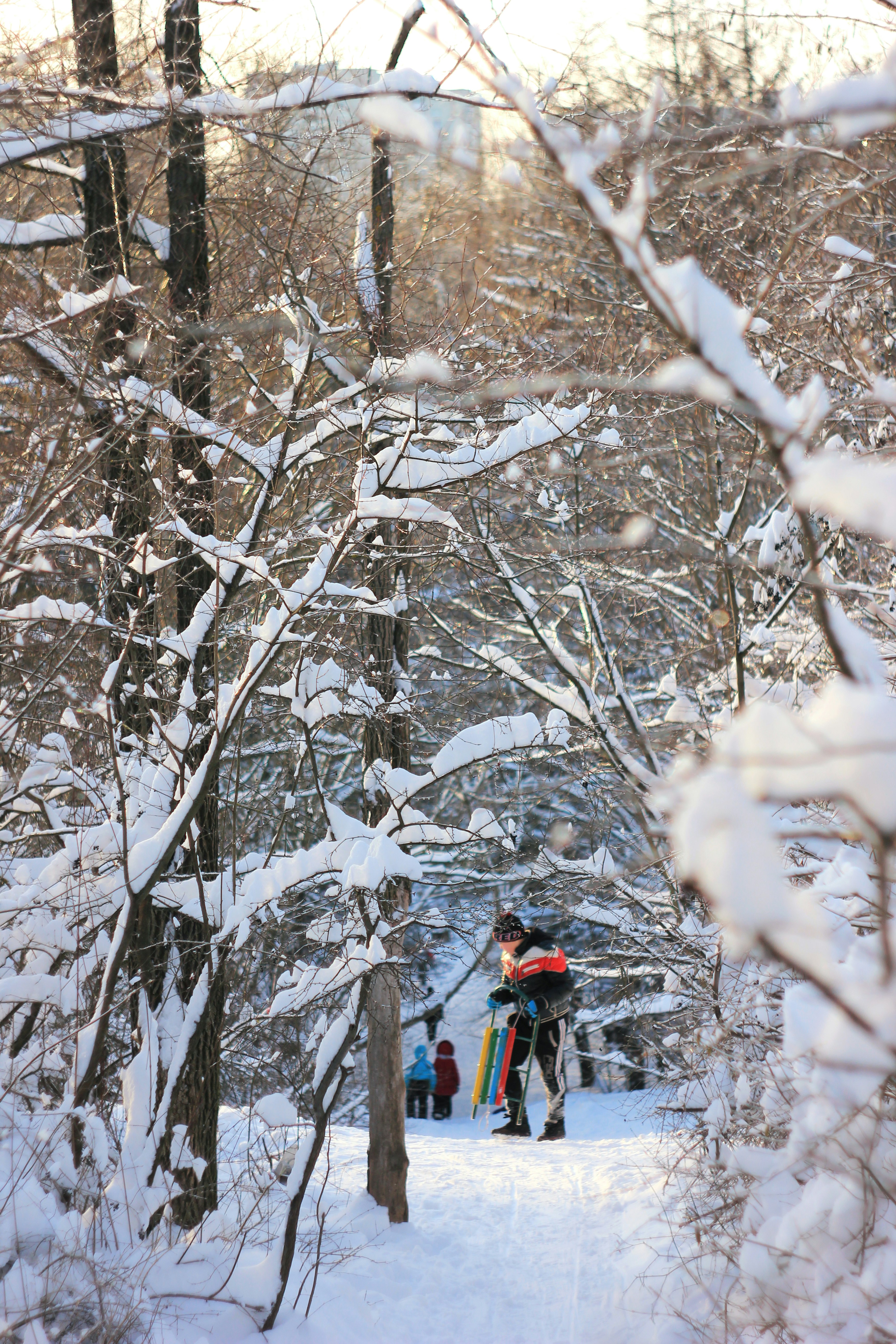 person in red jacket and blue denim jeans standing on snow covered ground during daytime