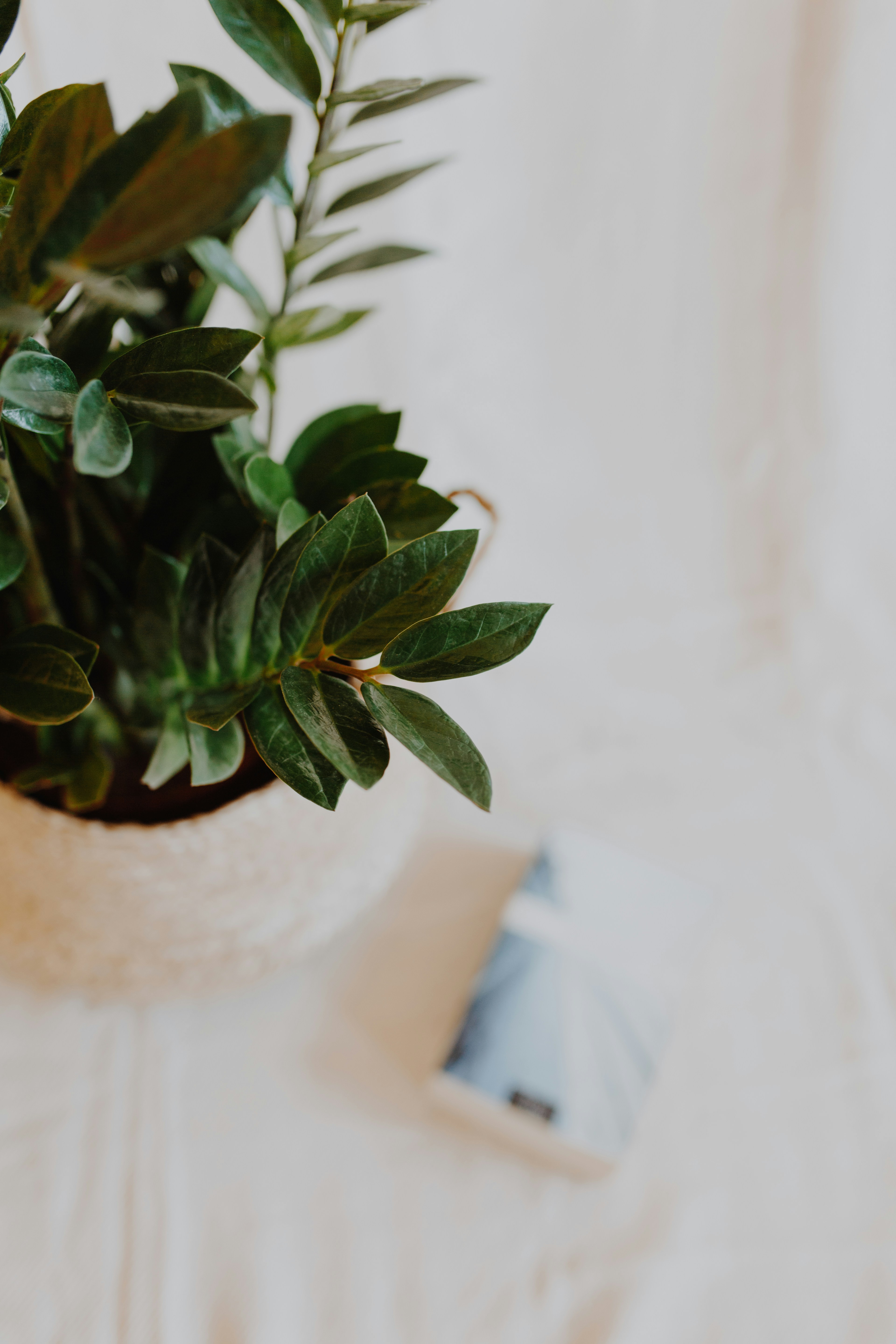 Photo by i_am_simoesse