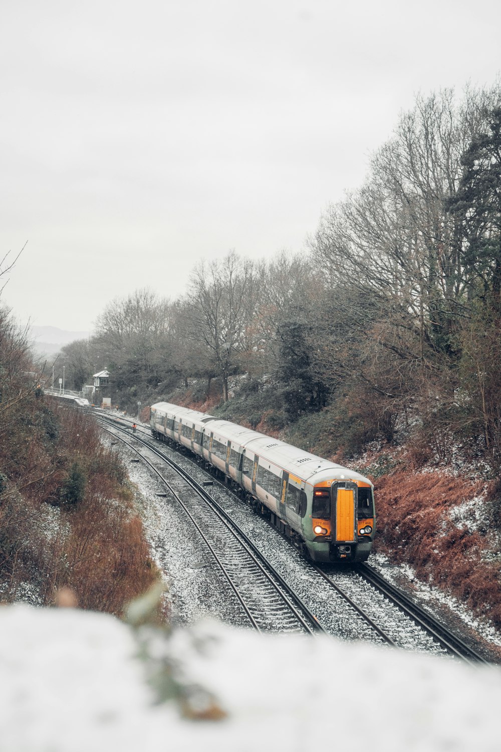 yellow and white train on rail tracks near bare trees during daytime