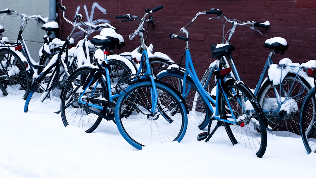 blue and black bicycles on white snow covered ground during daytime