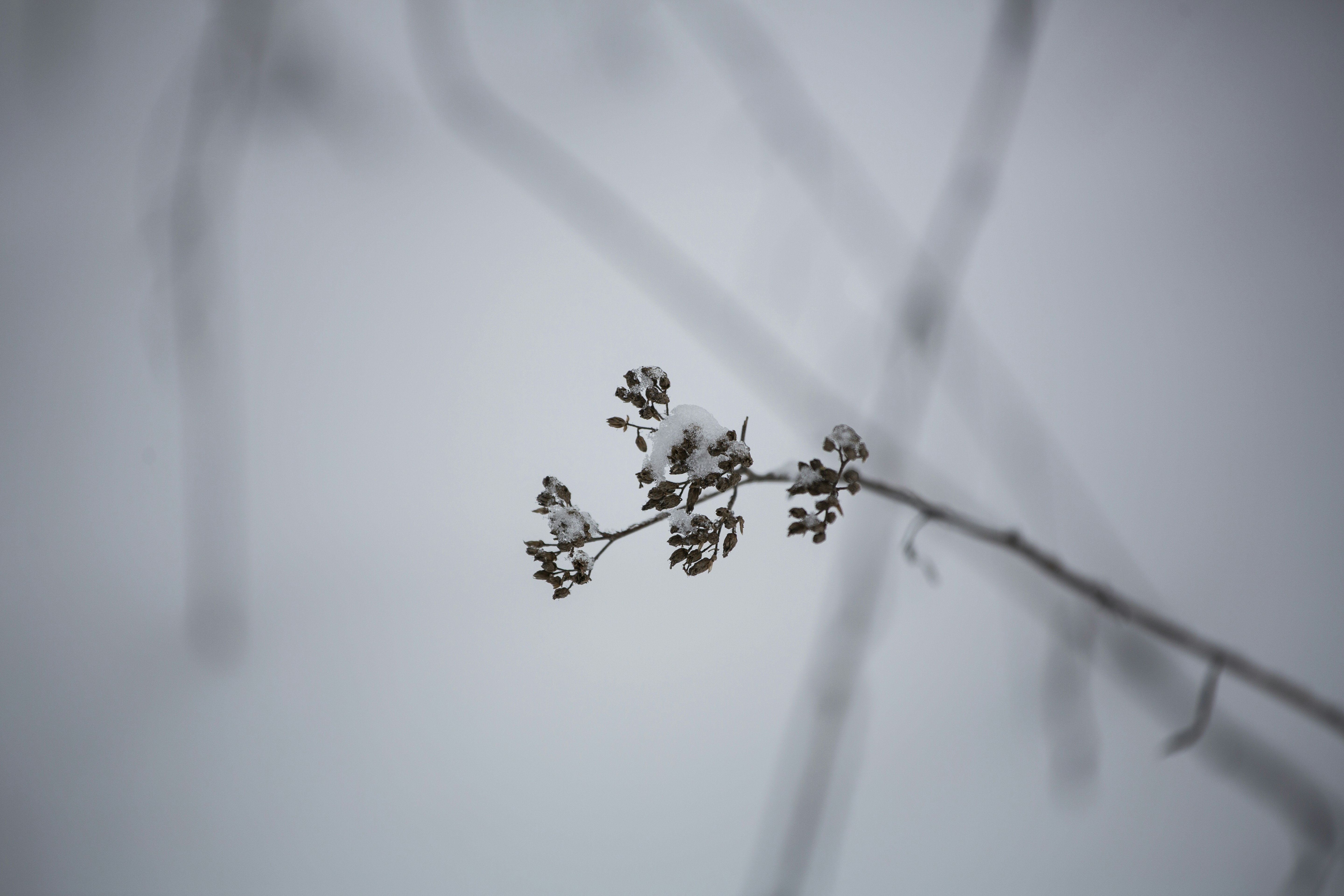 Photo by mrt1987