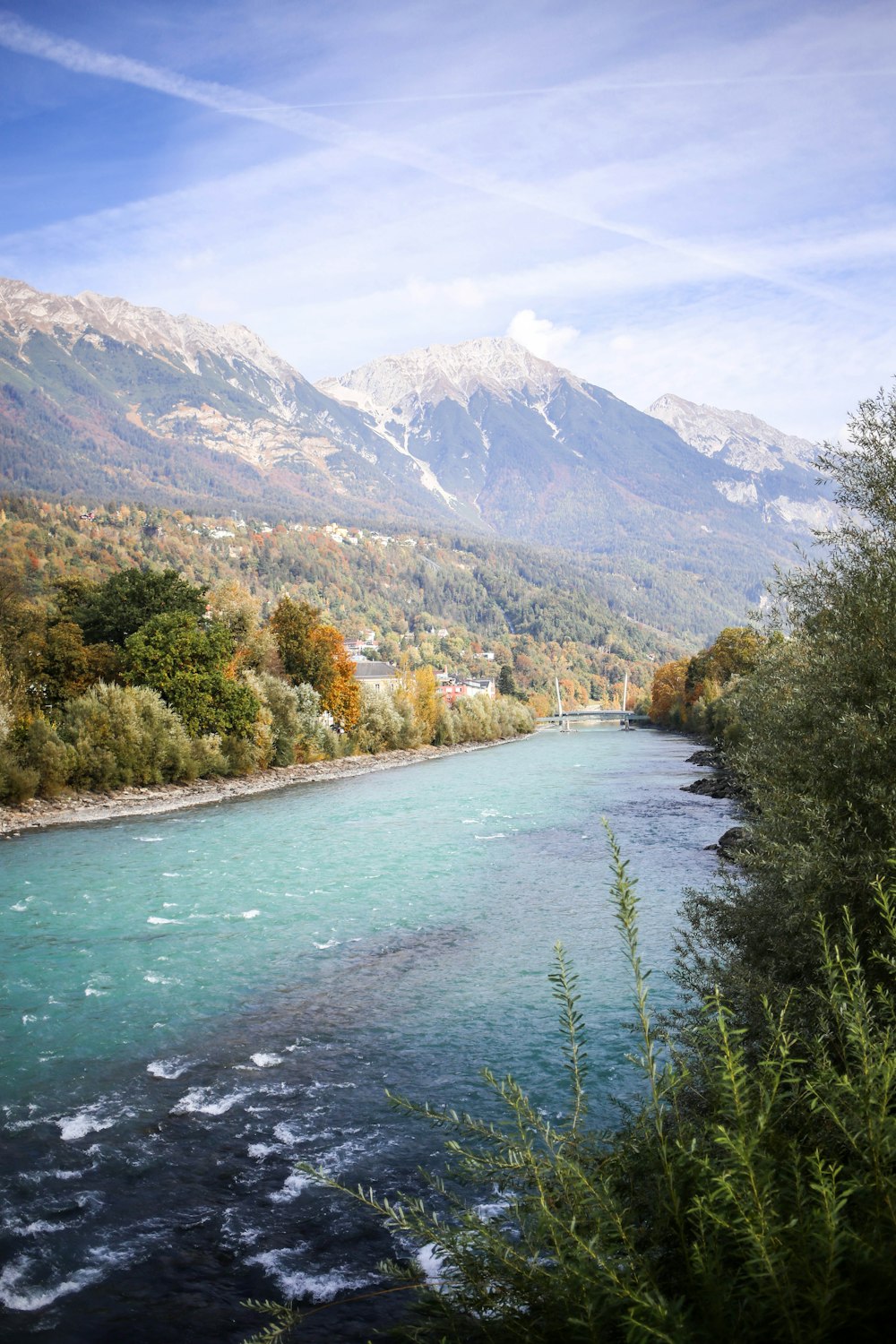 a river running through a lush green forest