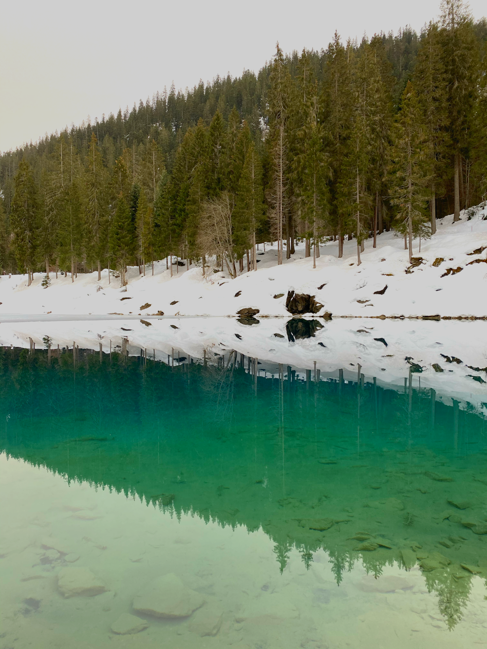 green lake surrounded by snow covered ground and trees during daytime