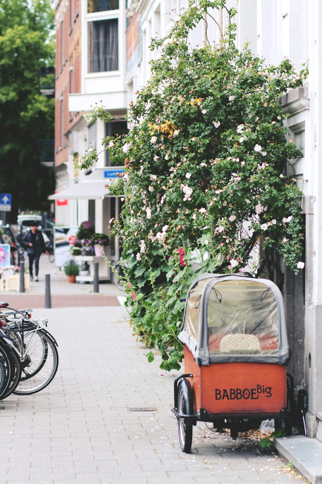 orange and black auto rickshaw parked beside green tree during daytime