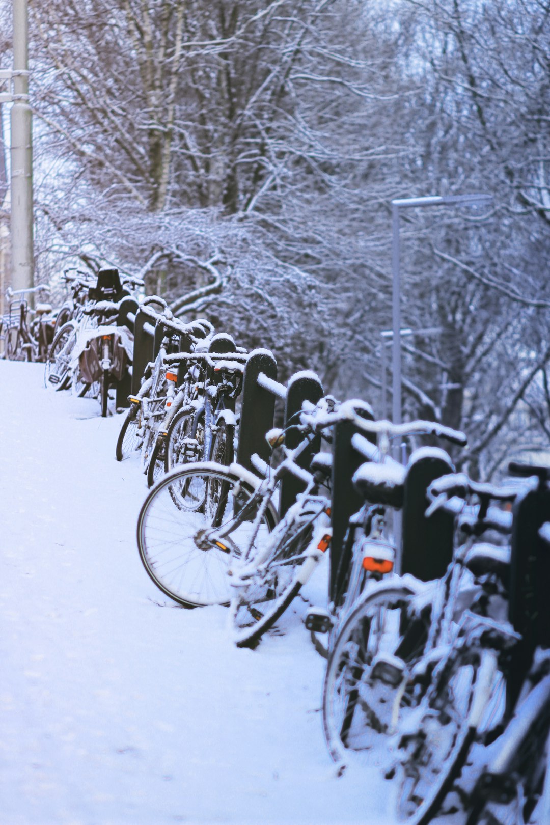 people riding bicycle on snow covered ground during daytime