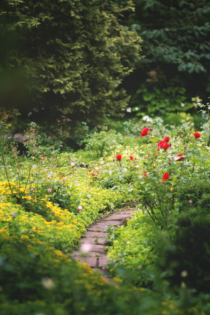 Garten