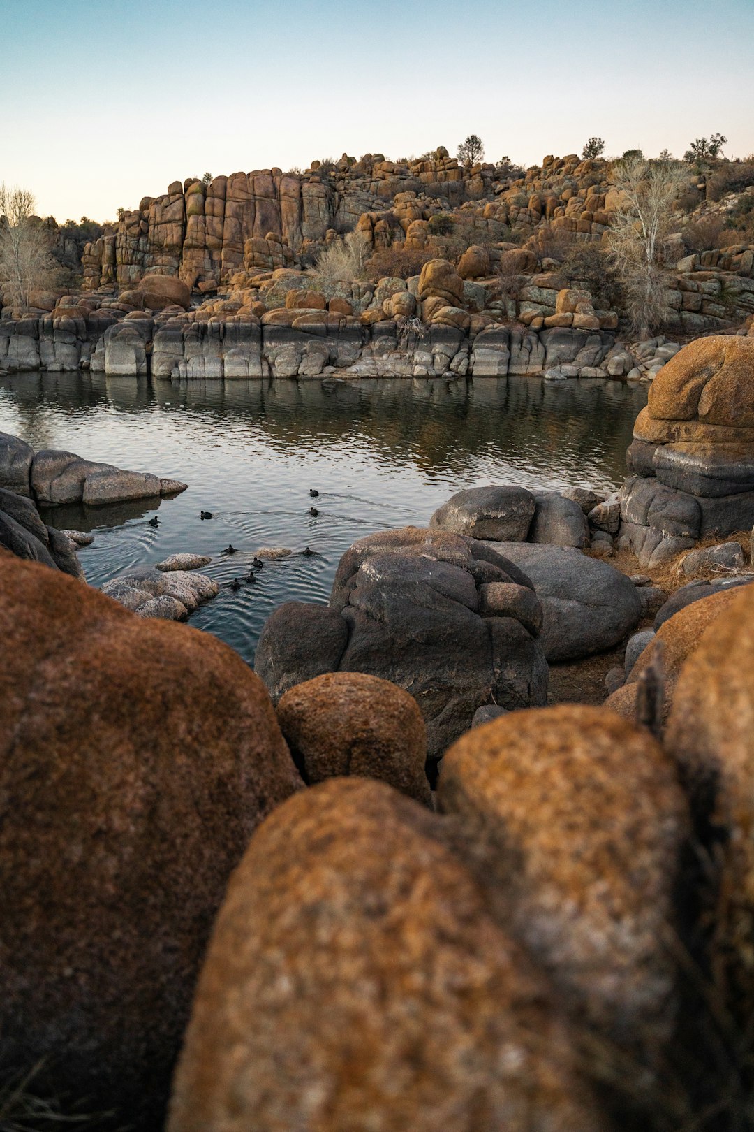 brown rocks on body of water during daytime