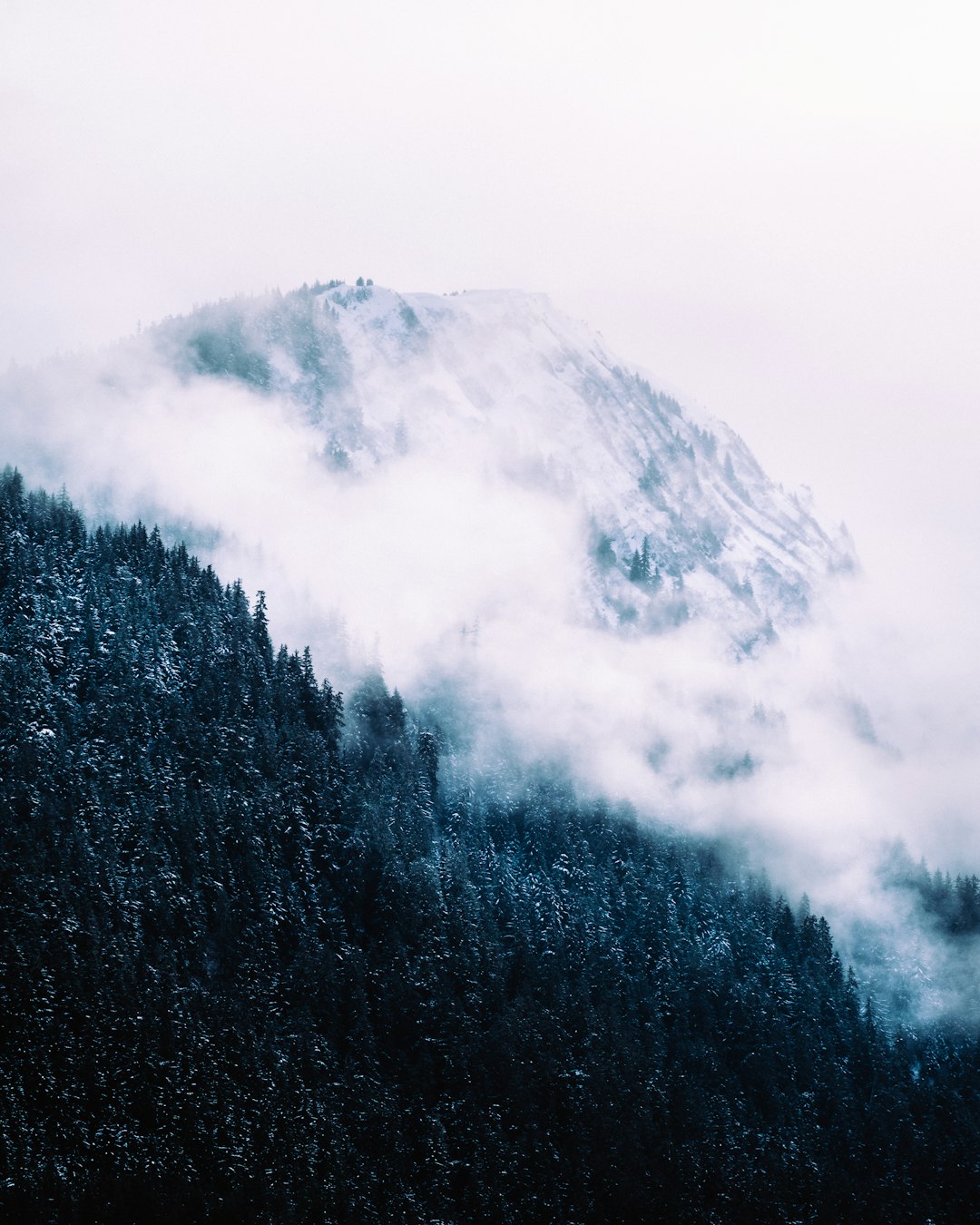 green trees on mountain under white clouds during daytime