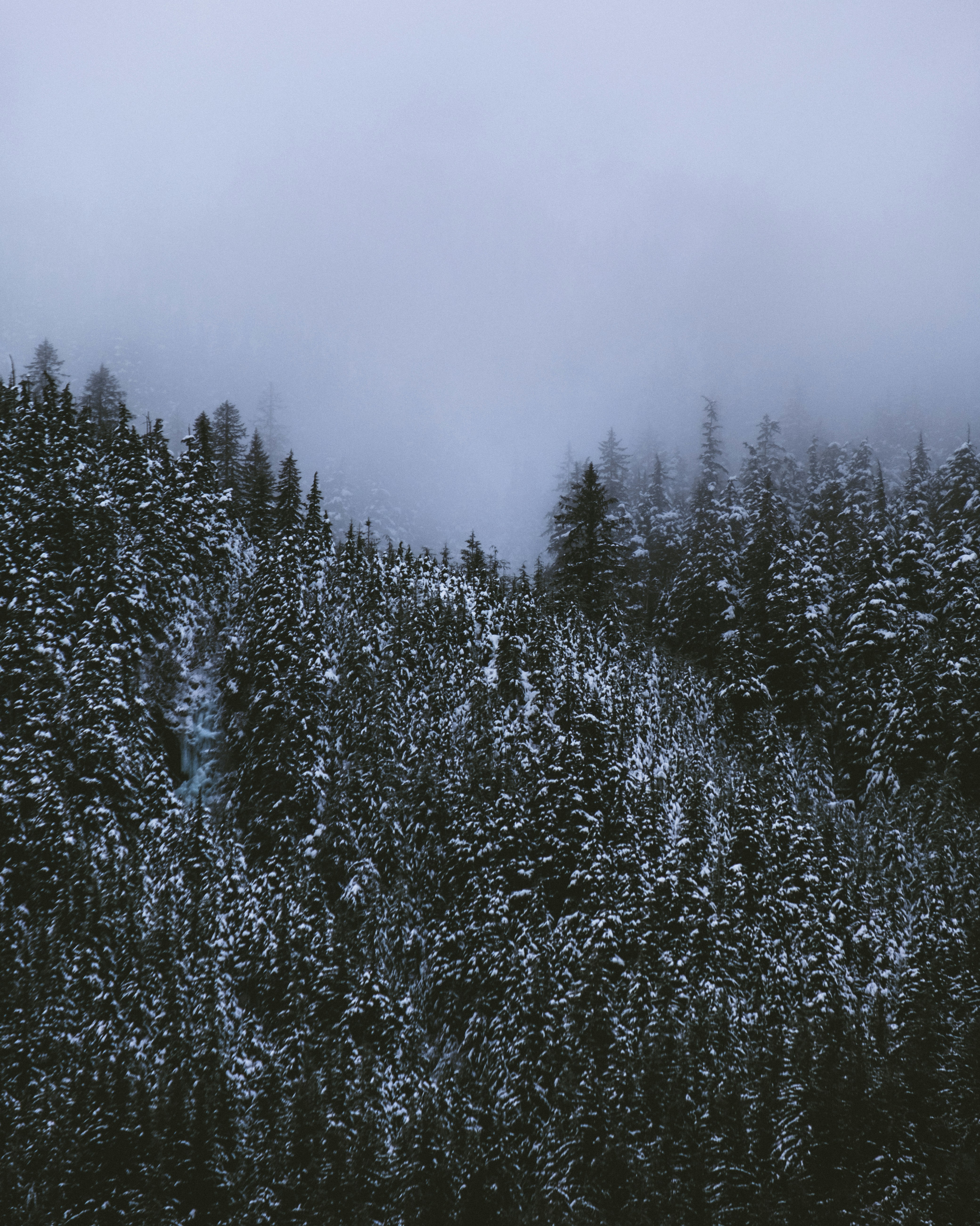 Photo by northernstatemedia