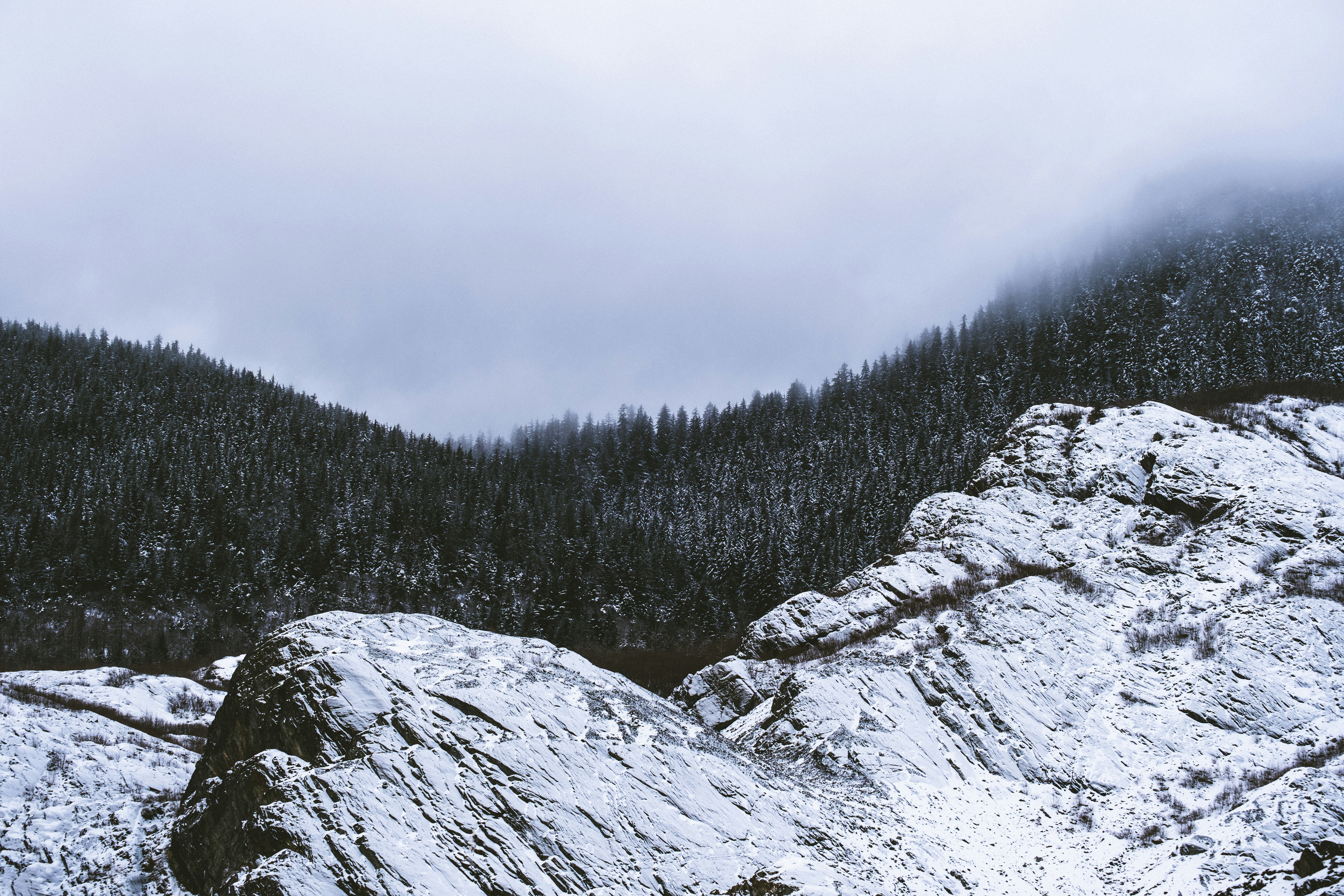 Photo by northernstatemedia