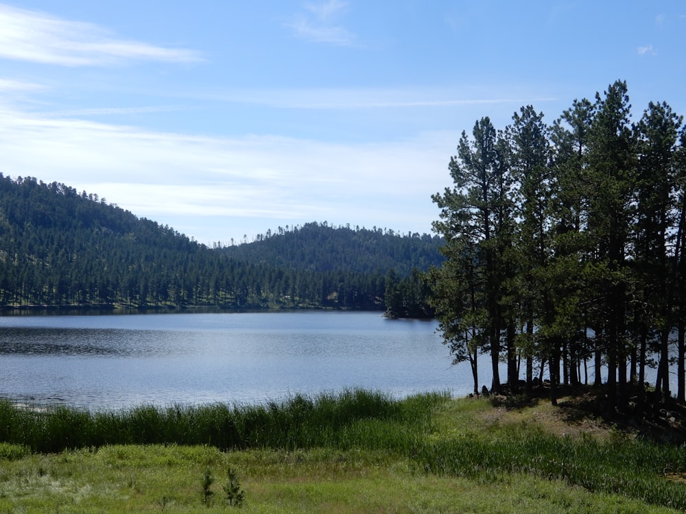 campo de grama verde perto do lago sob o céu azul durante o dia