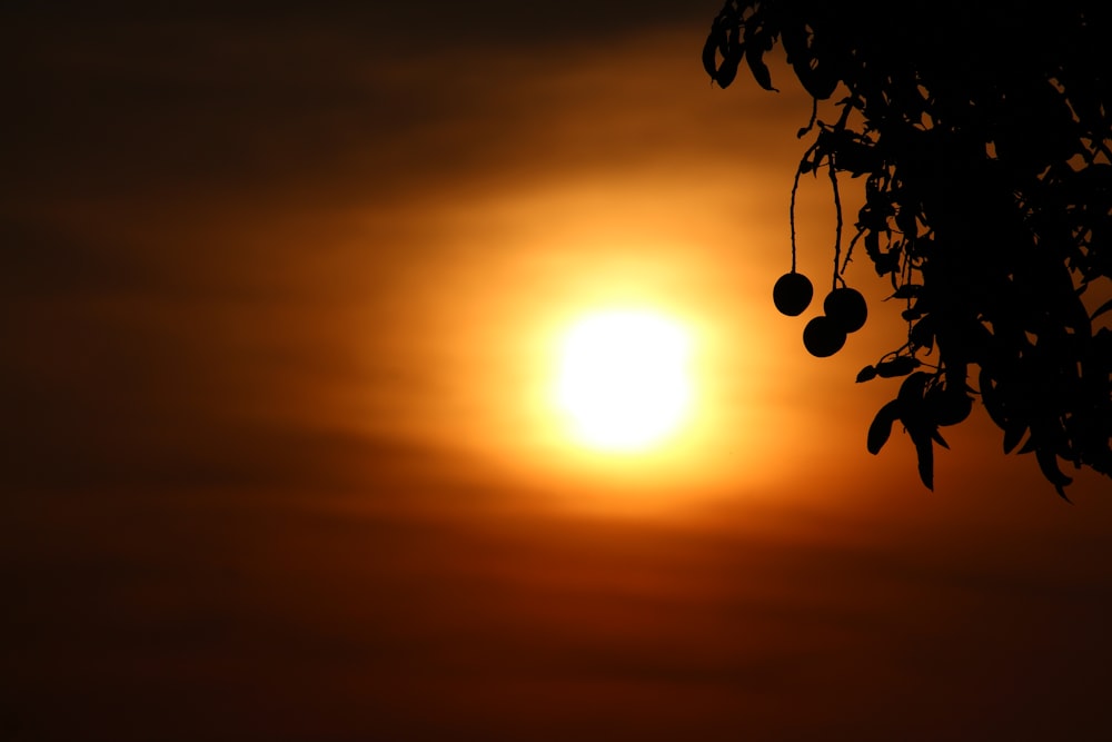 El sol se pone en el horizonte