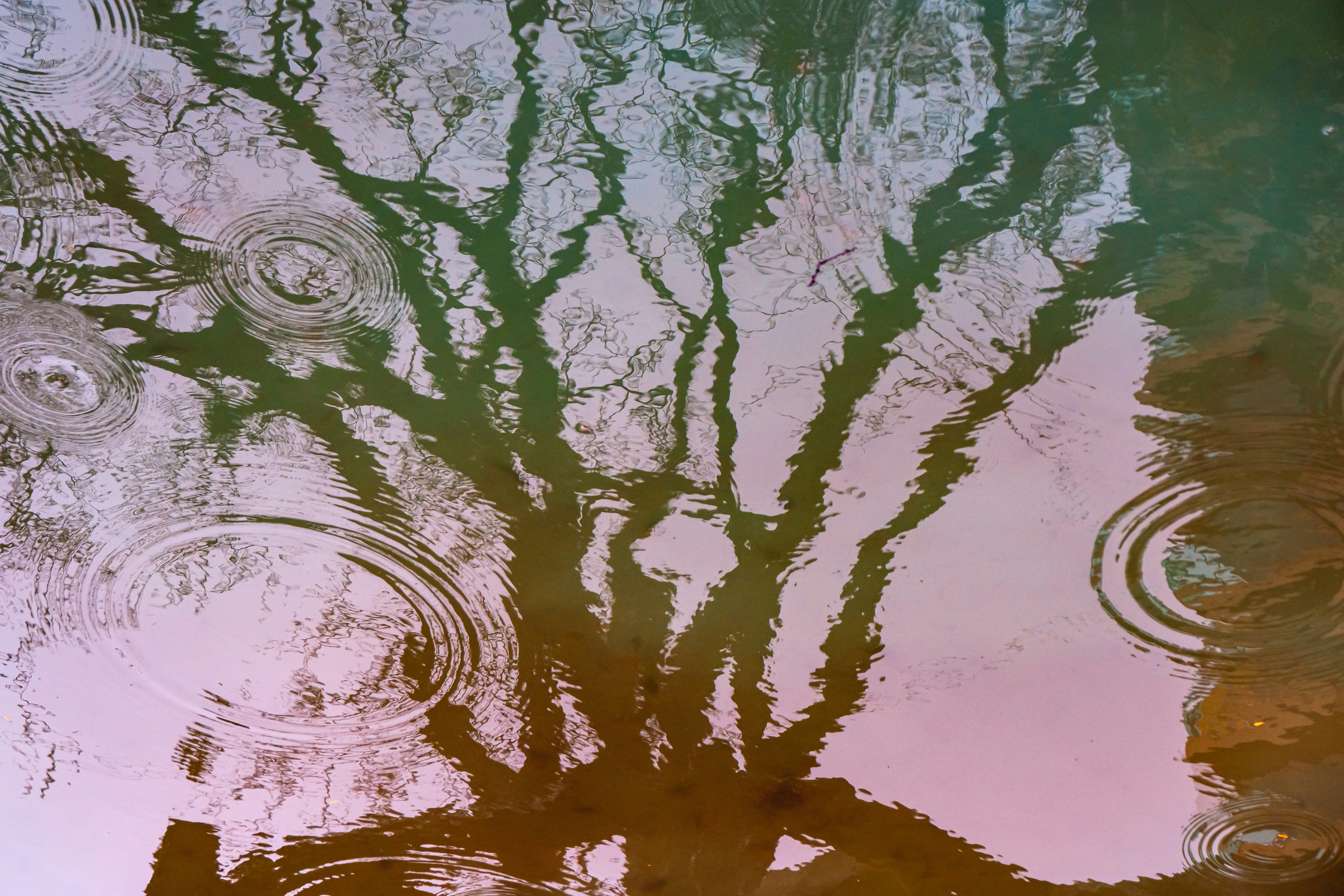 Photo by hiddenwindows