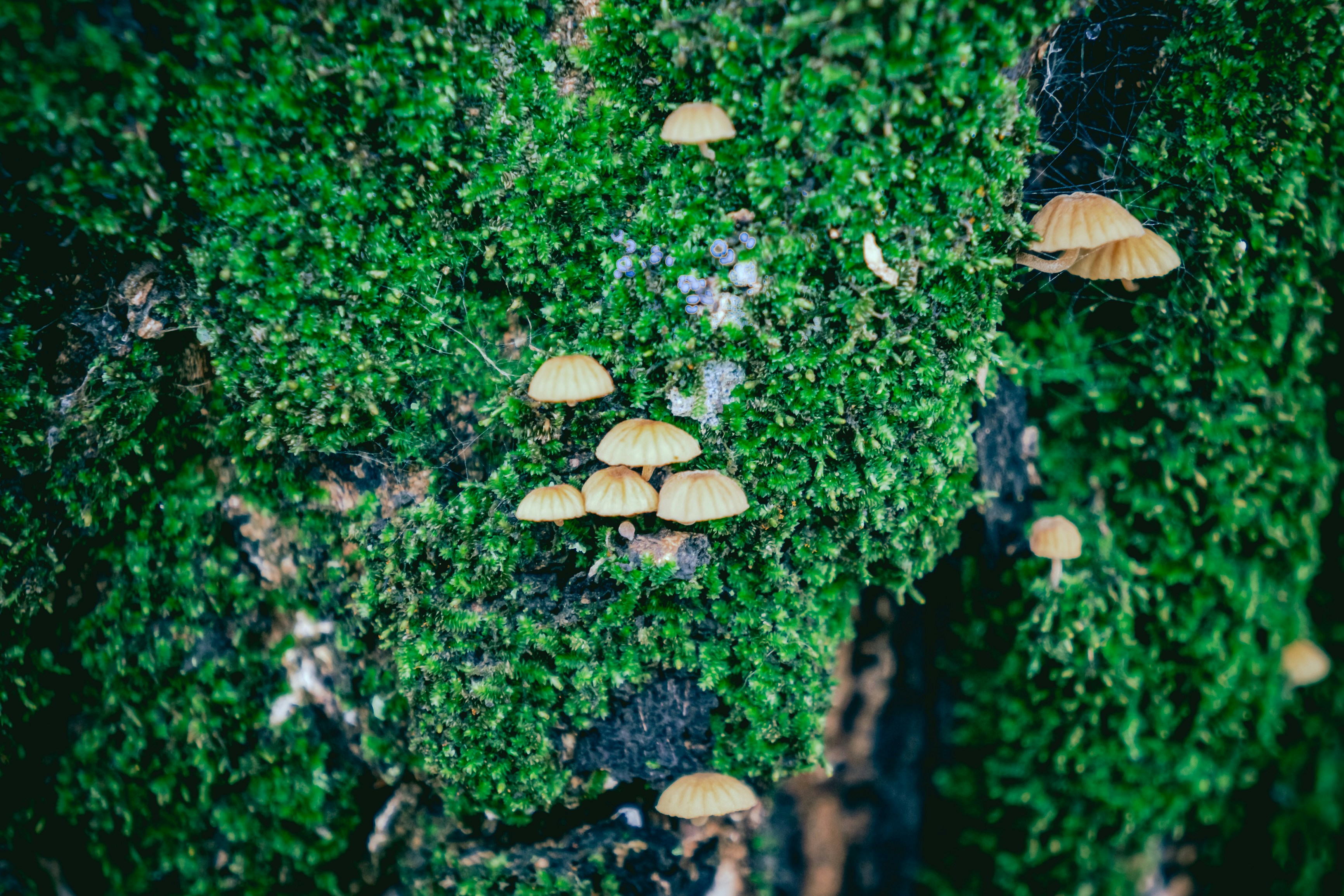 Photo by hiddenwindows