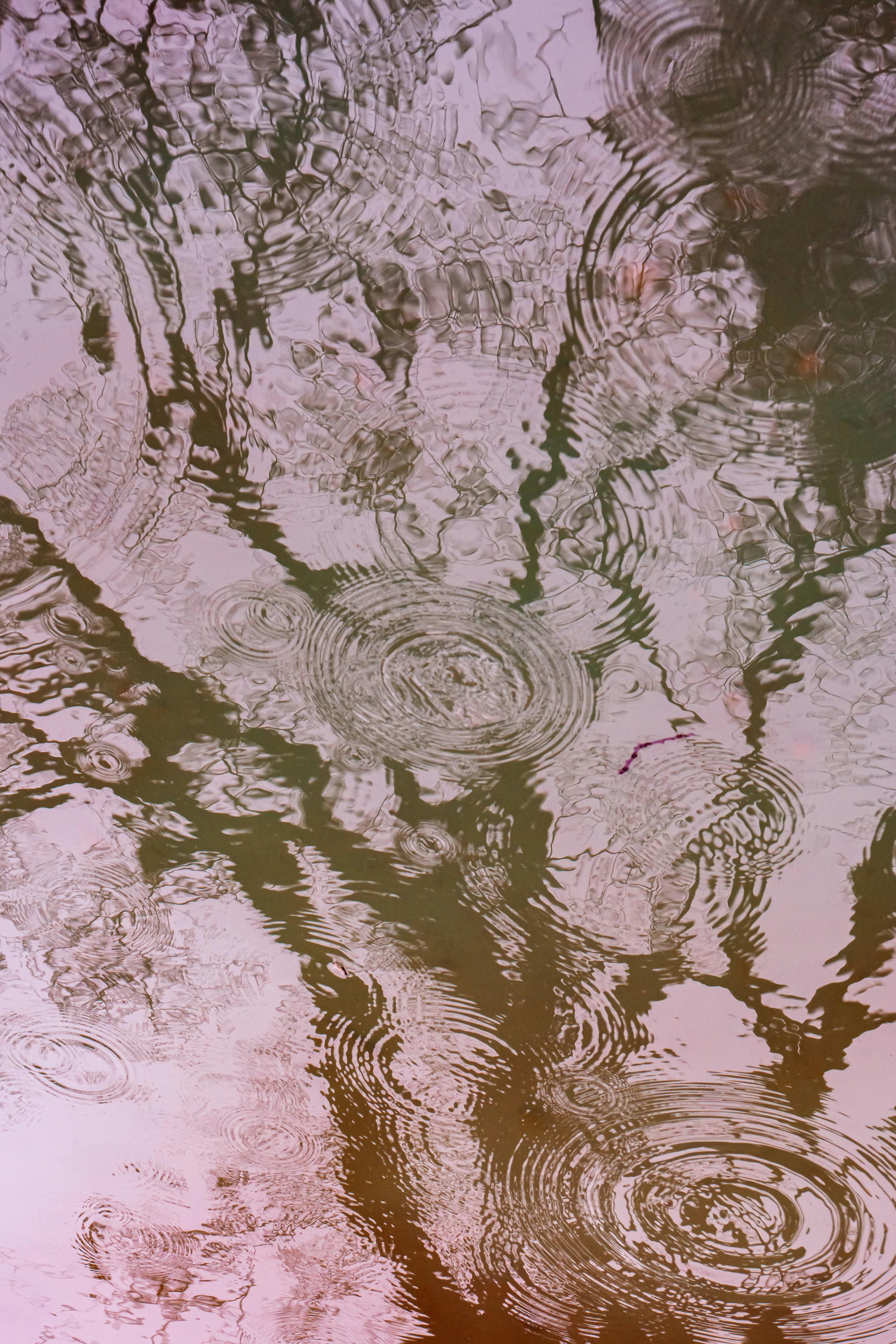 Photo by hiddenwindows