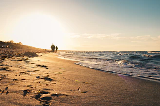 Golden hour light casting long shadows over a quiet beach.