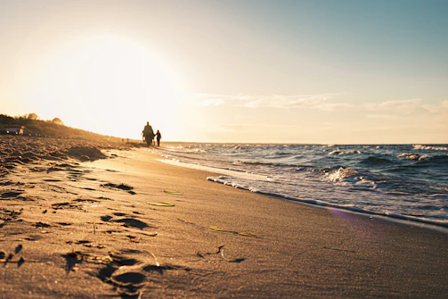 Golden hour light casting long shadows over a quiet beach.