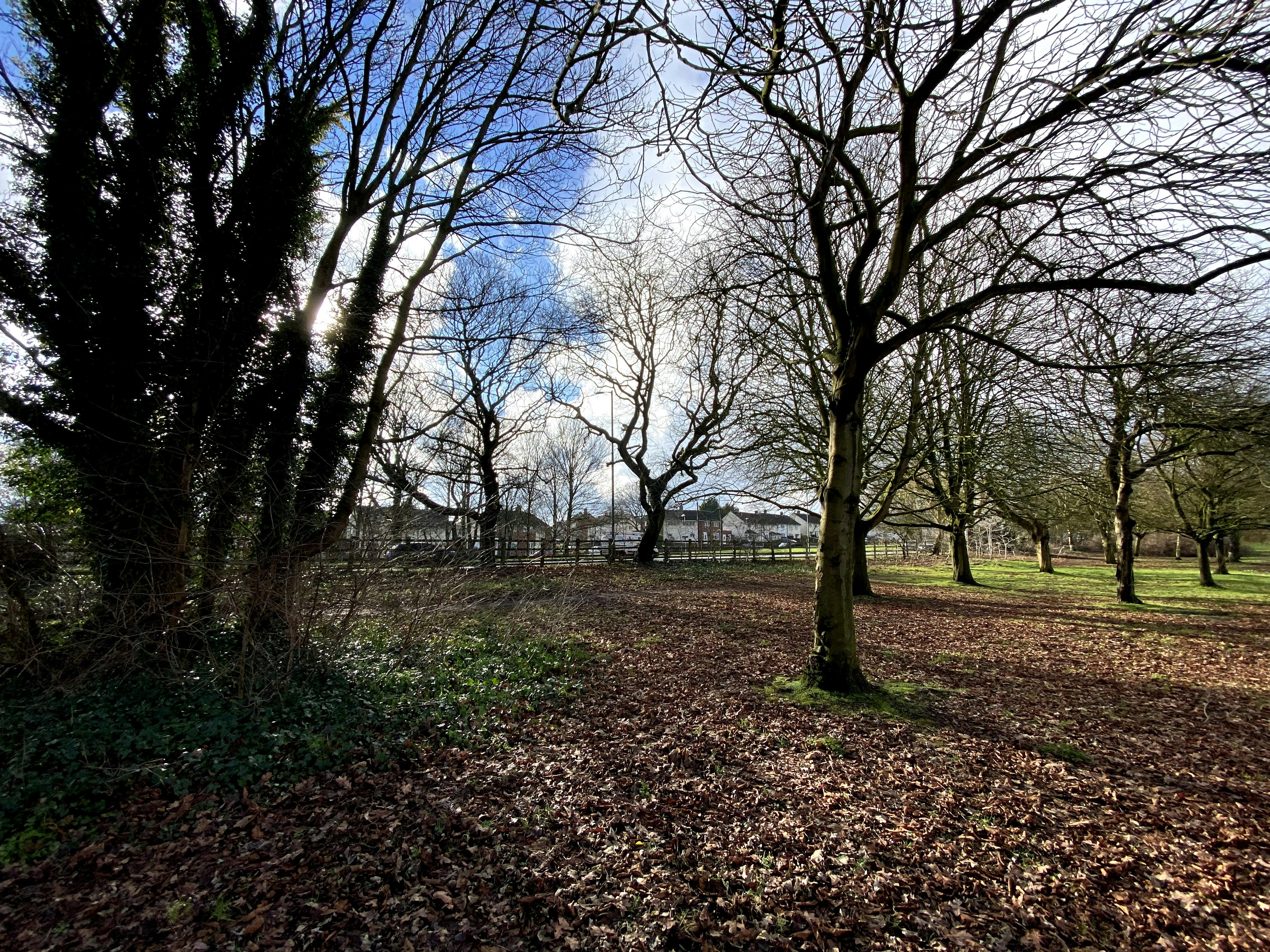 Photo by david_robert_clarke