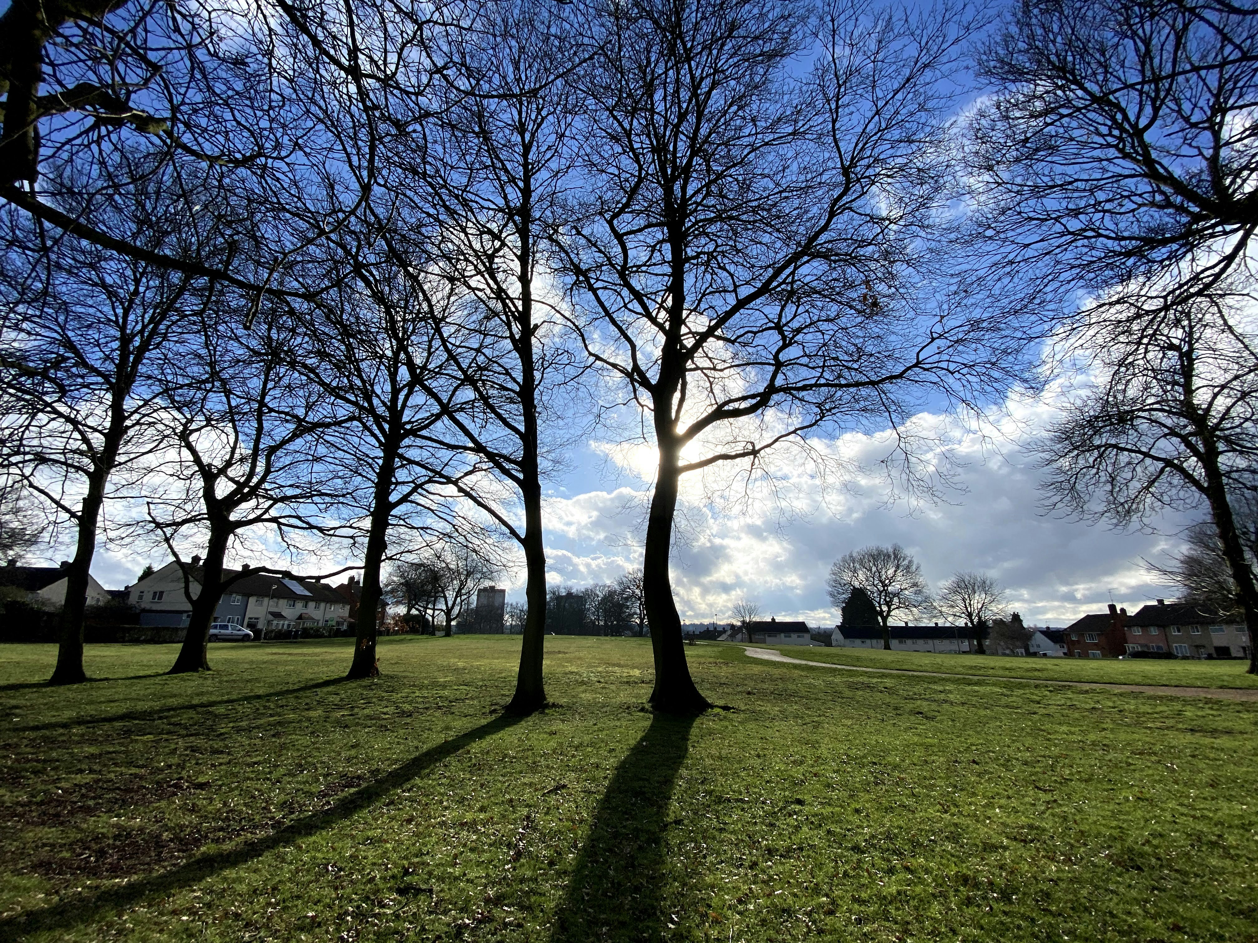 Photo by david_robert_clarke