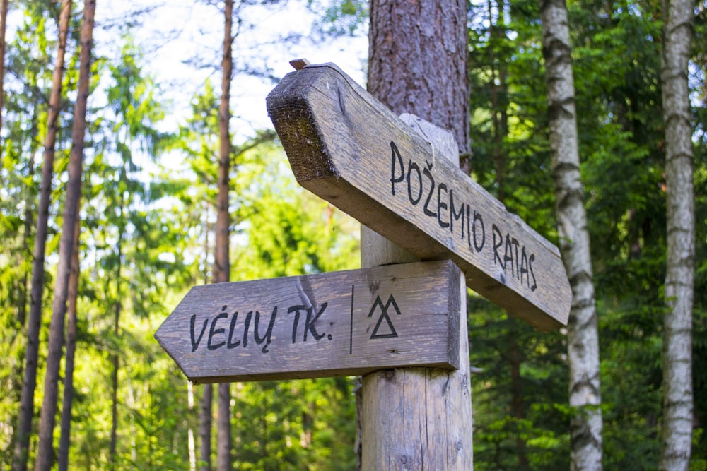 brown wooden signage on tree trunk