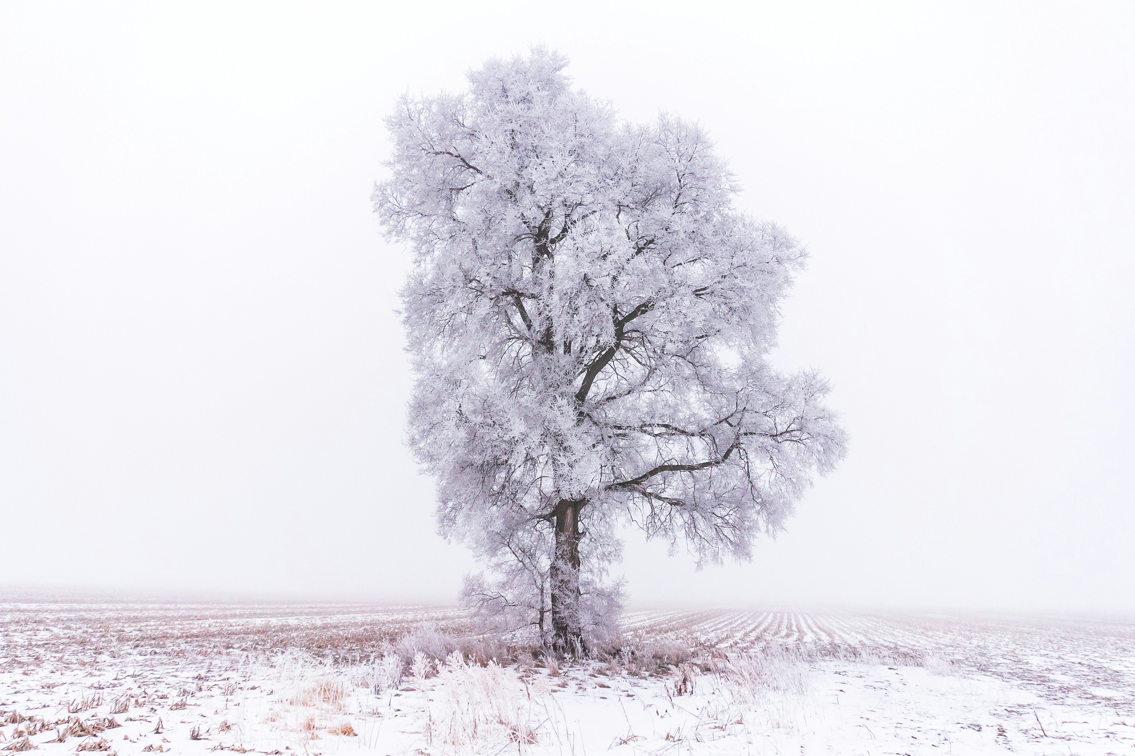 Photo by michael_g_krahn