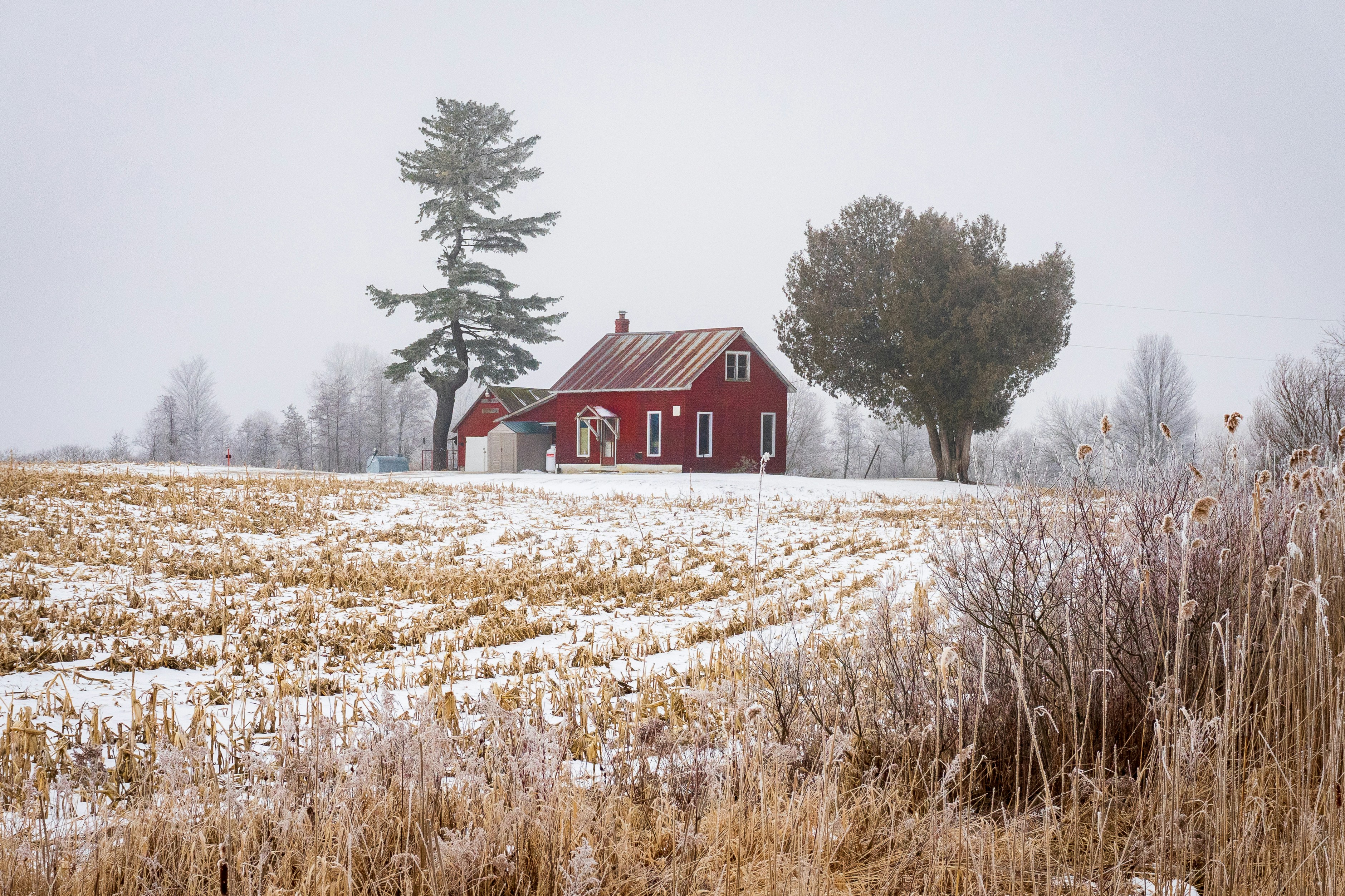 Photo by michael_g_krahn