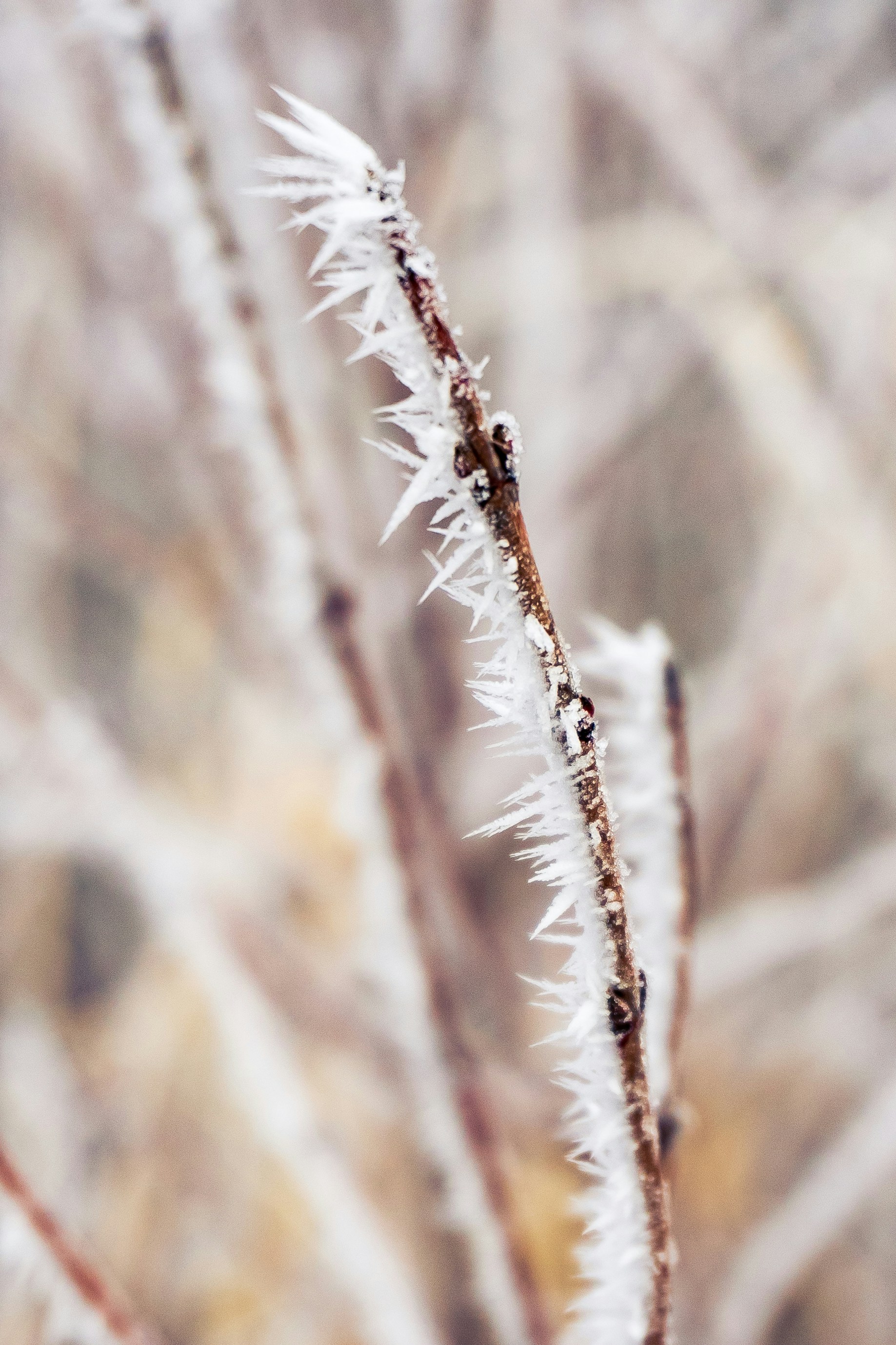 Photo by michael_g_krahn