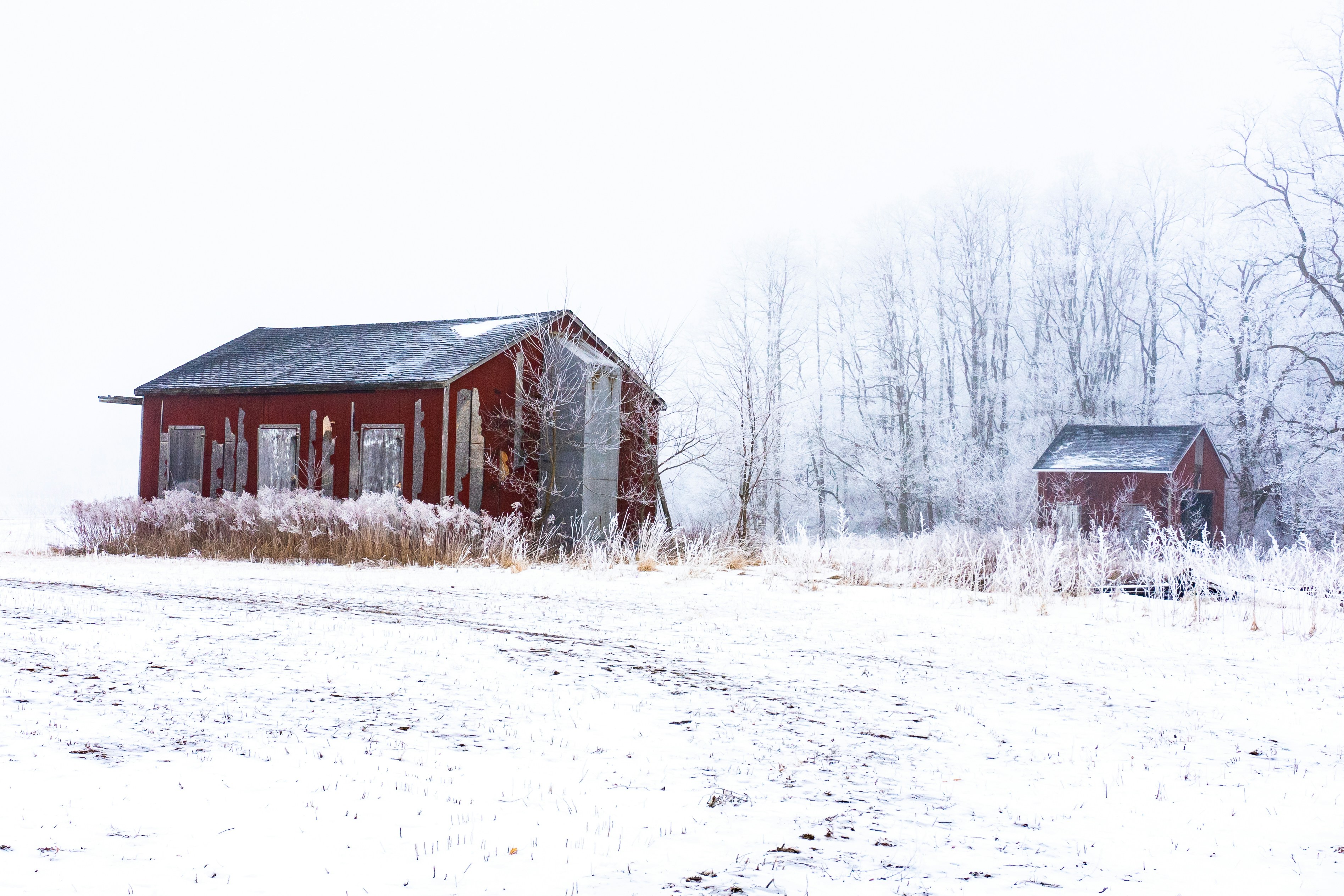 Photo by michael_g_krahn